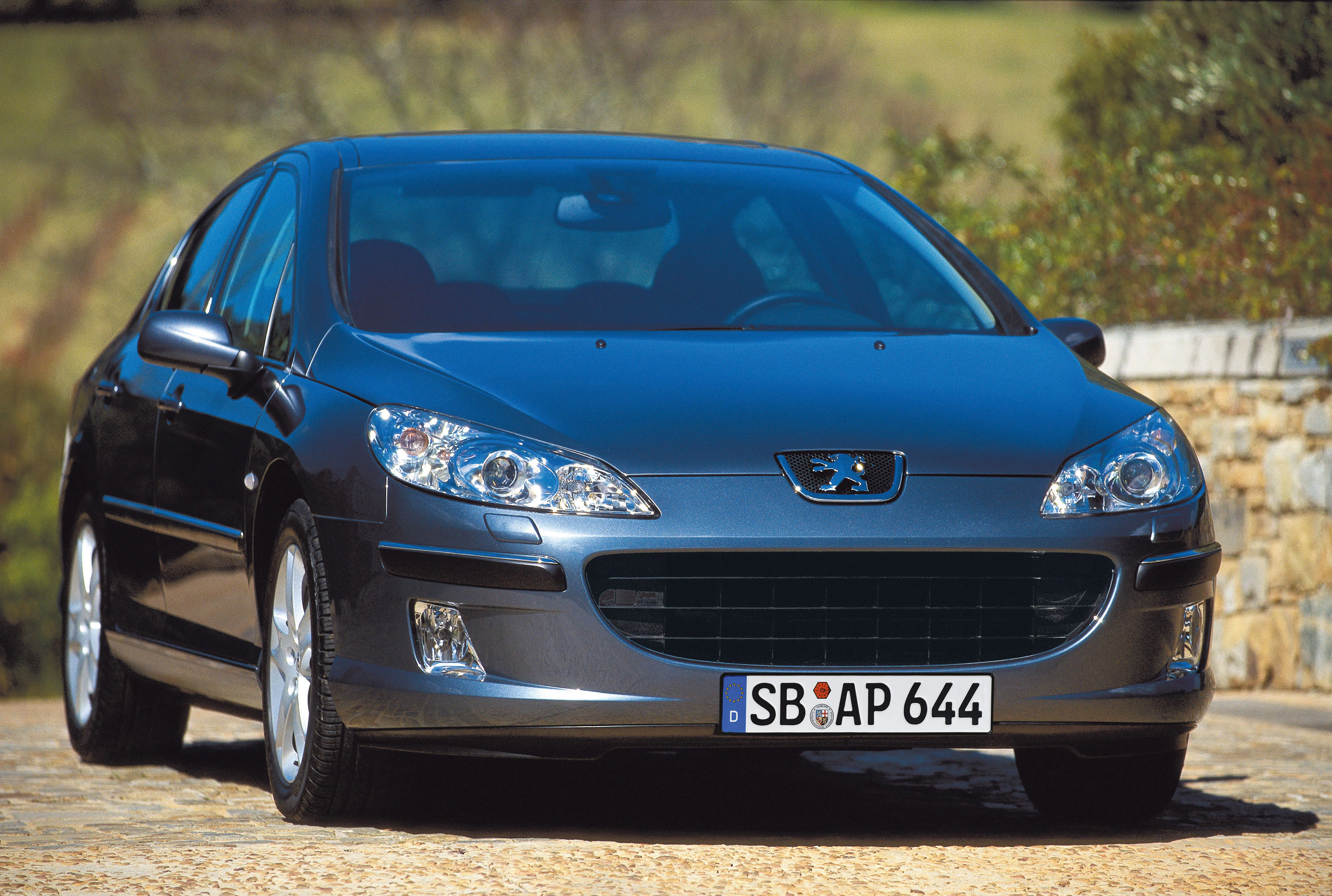 Dunkelgrauer Peugeot 407 mit deutschem Kennzeichen, geparkt auf gepflasterter Fläche vor einer Steinmauer und Bäumen.