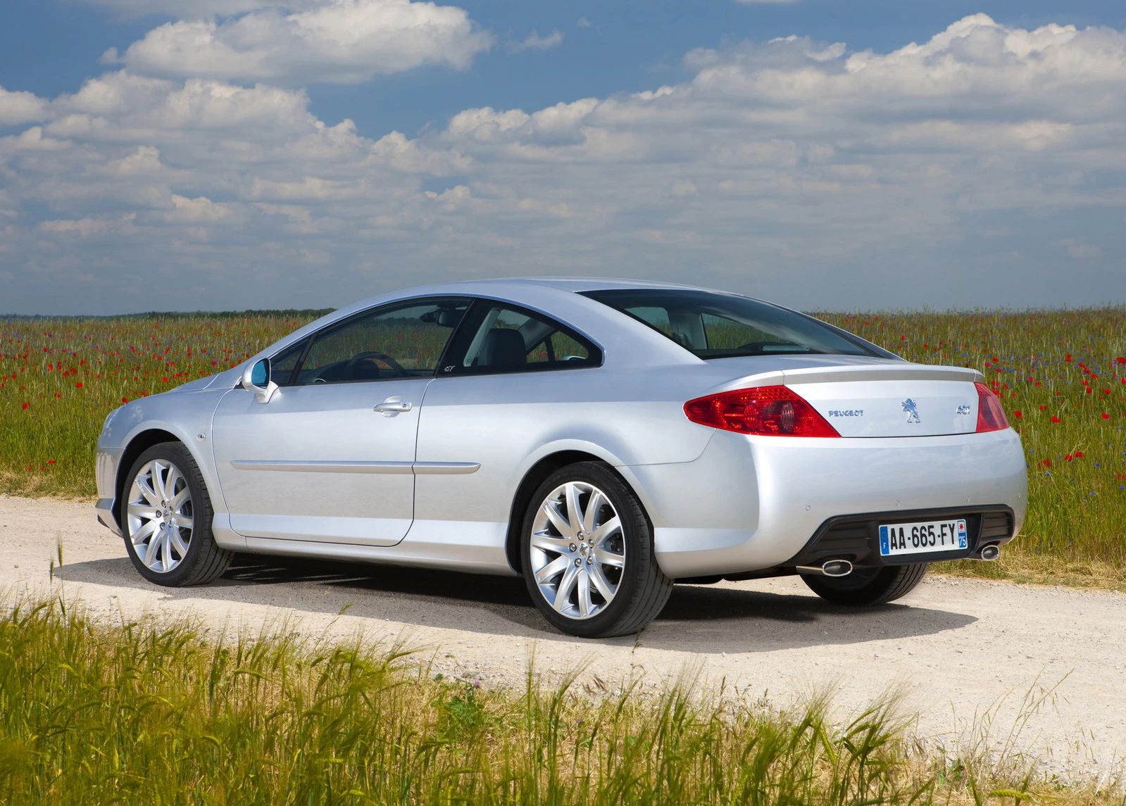 Silbernes Auto (Peugeot) auf Feldweg, grüne Wiese mit roten Blumen, blauer Himmel mit Wolken im Hintergrund.