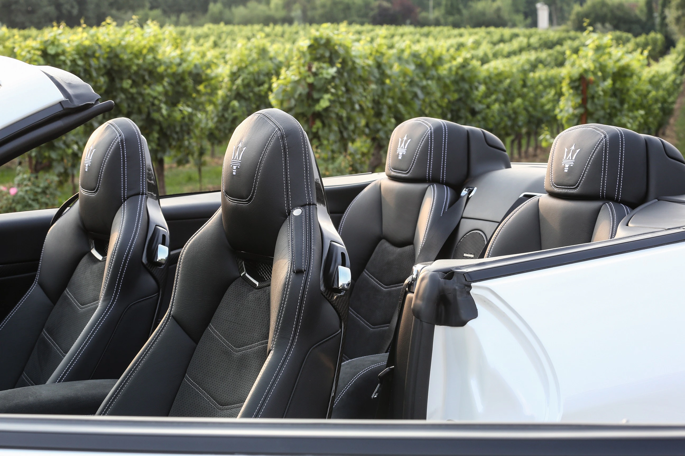 Innenraum eines weißen Maserati-Cabrios mit vier schwarzen Ledersitzen, im Hintergrund Weinreben.