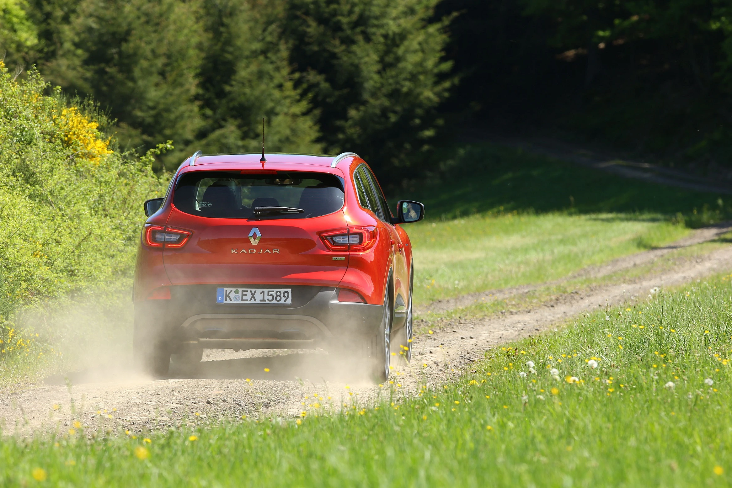 Roter Renault Kadjar fährt auf einem staubigen Waldweg, umgeben von grüner Wiese und Bäumen.