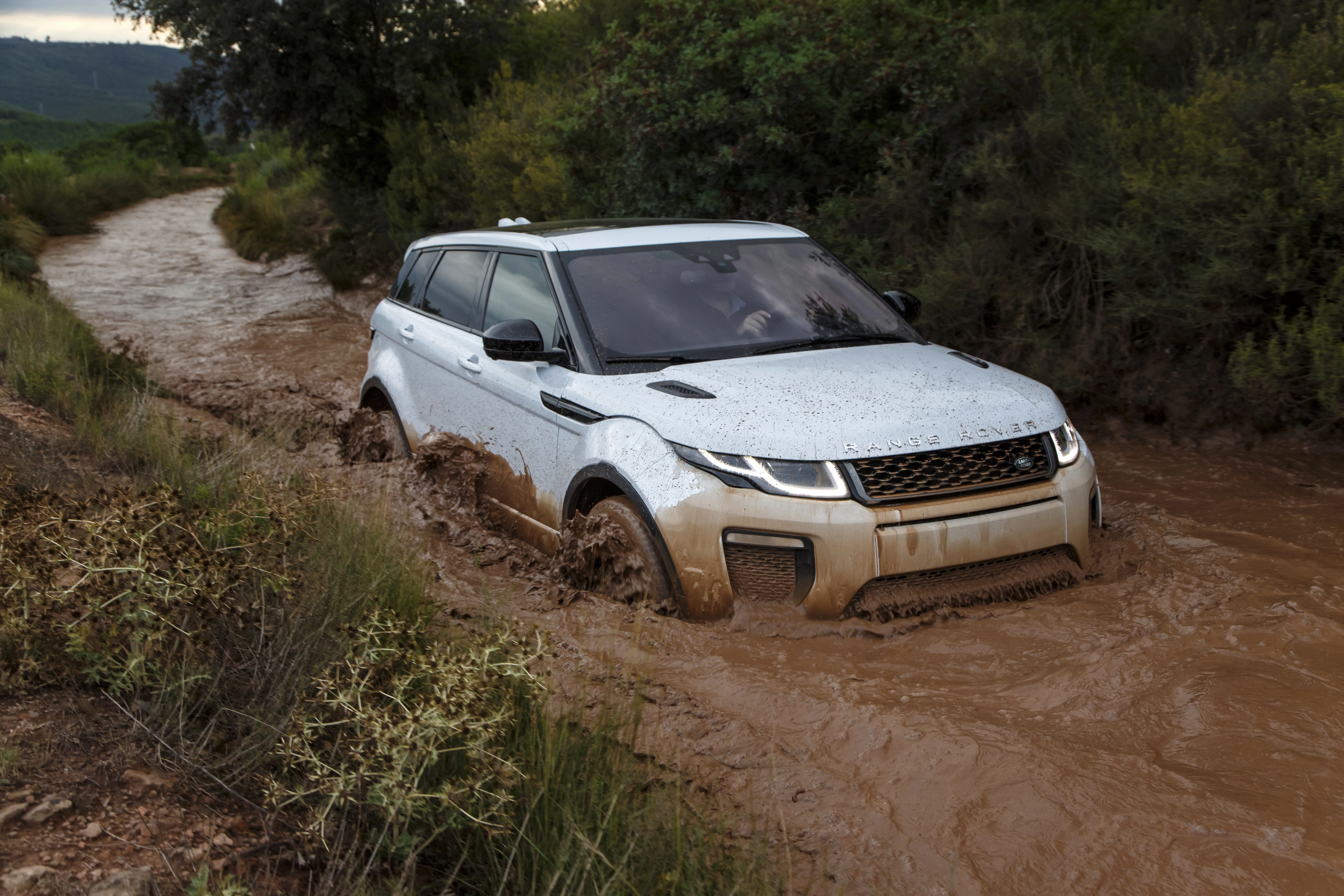 Range Rover Evoque L538 Aussenansicht Front schräg dynamisch weiss