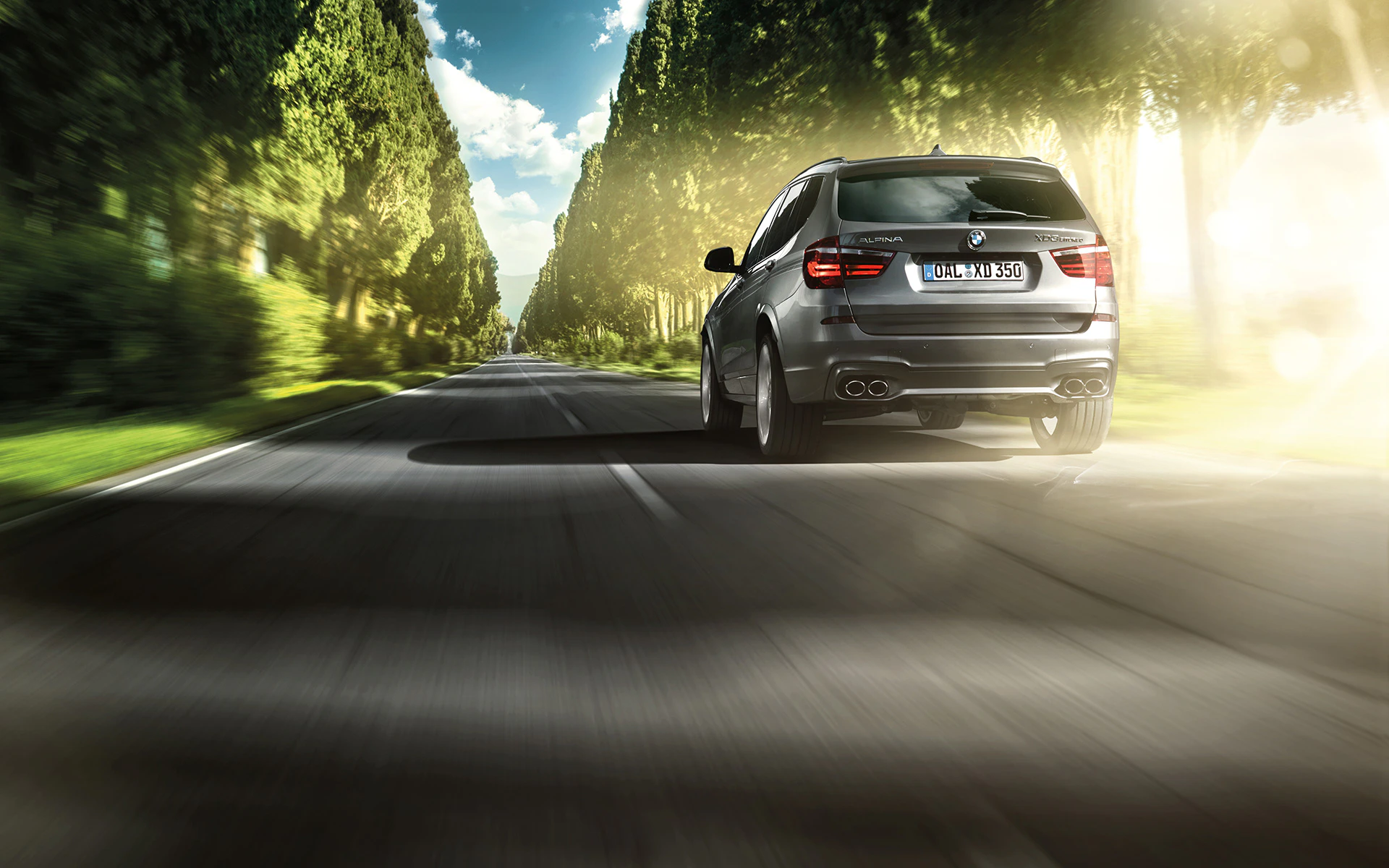 Ein grauer SUV fährt schnell auf einer von Bäumen gesäumten Straße bei sonnigem Wetter. Dynamische Licht- und Schatteneffekte.