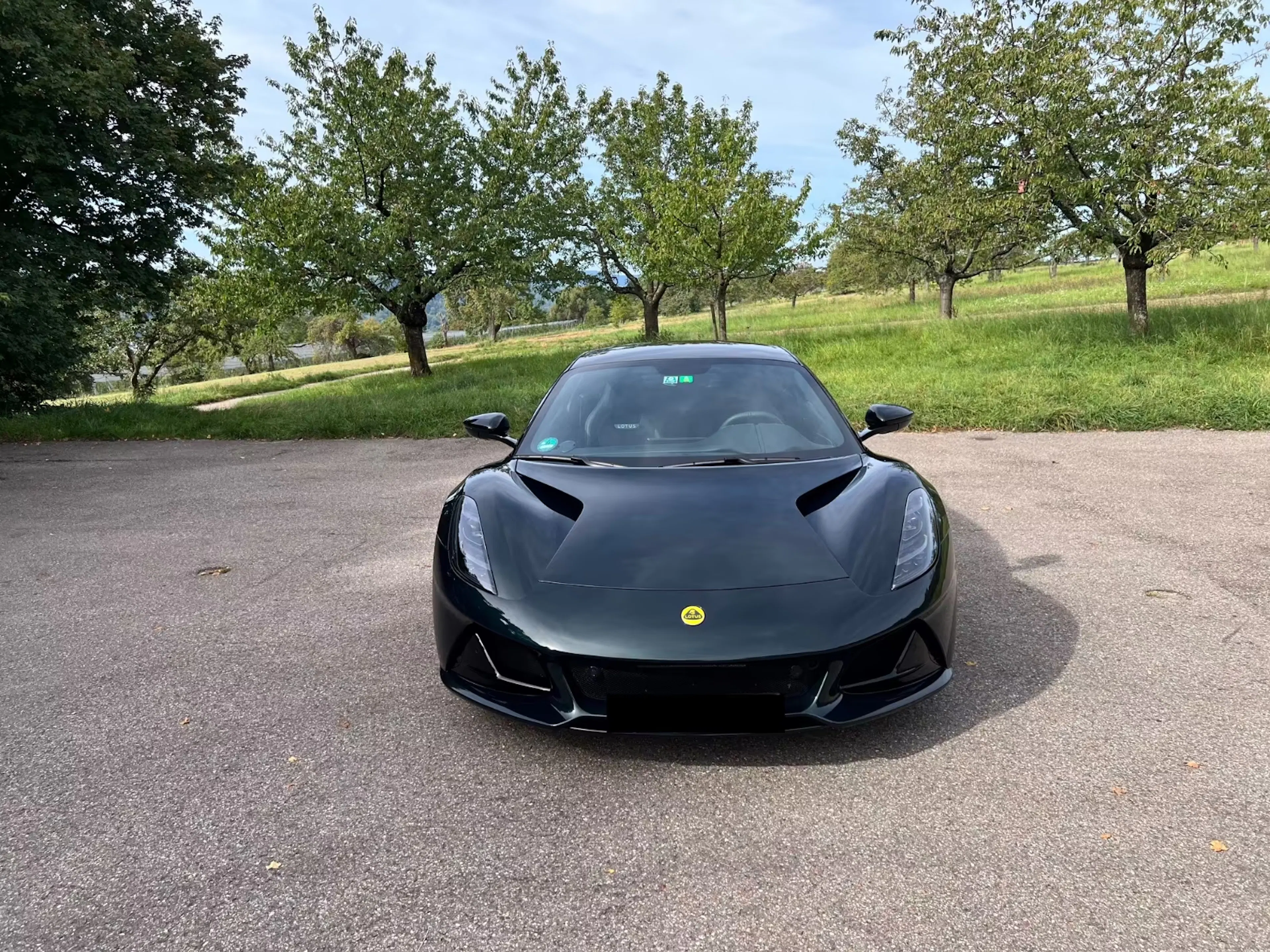 Schwarzer Lotus Emira vor Bäumen
