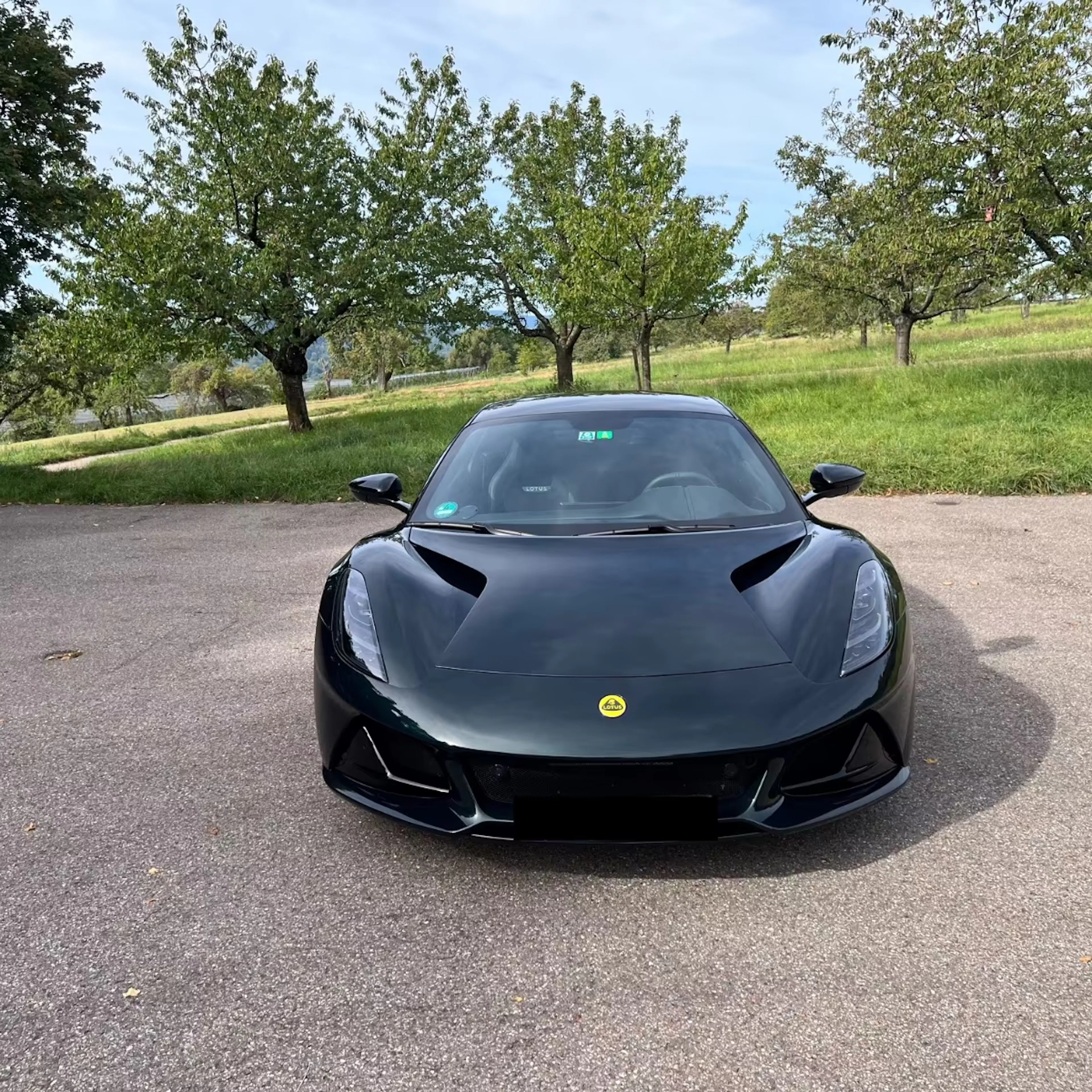 Schwarzer Lotus Emira vor Bäumen