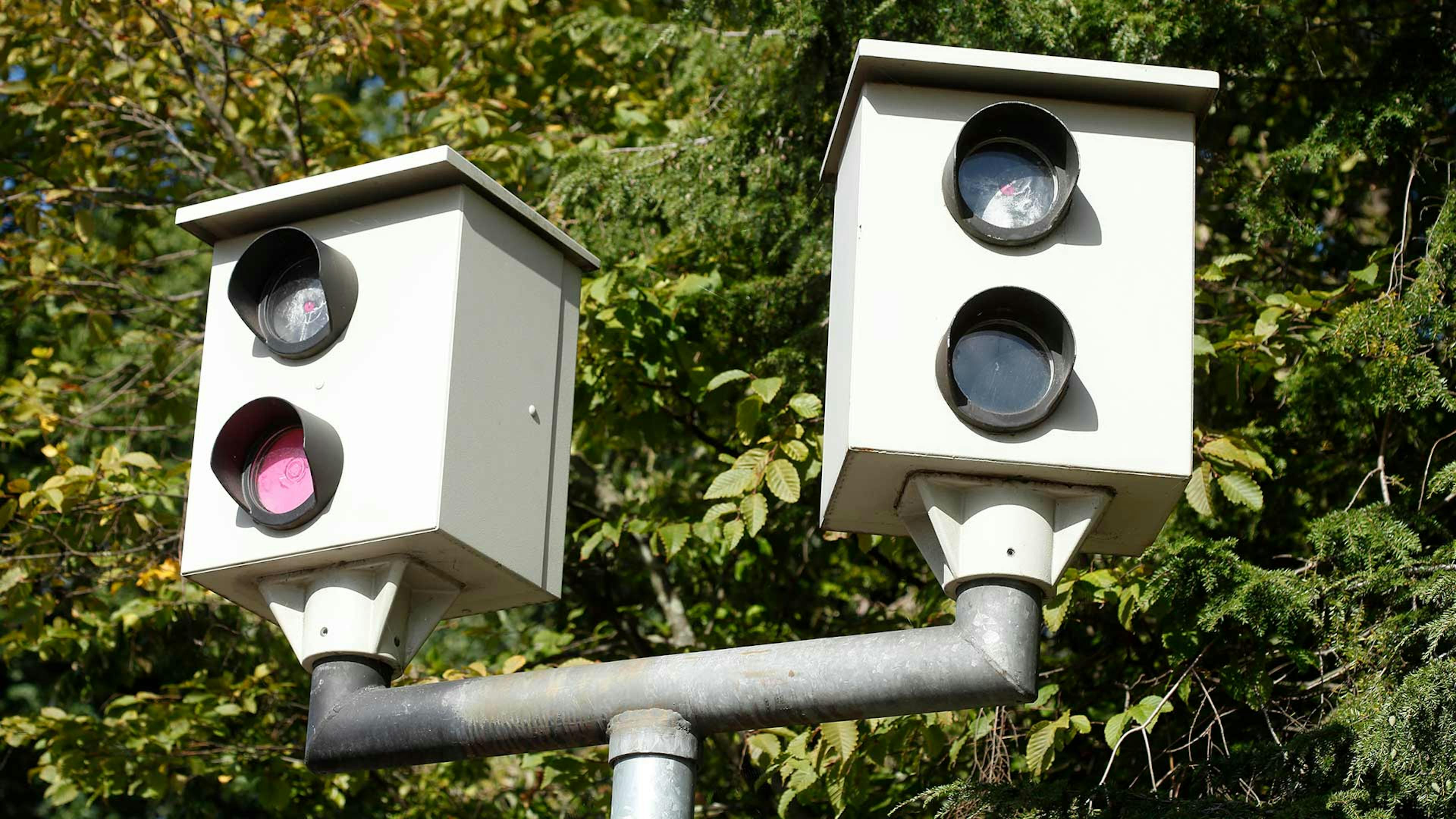 Ein Gerät zur Geschwindigkeitskontrolle steht vor einer grünen Hecke.