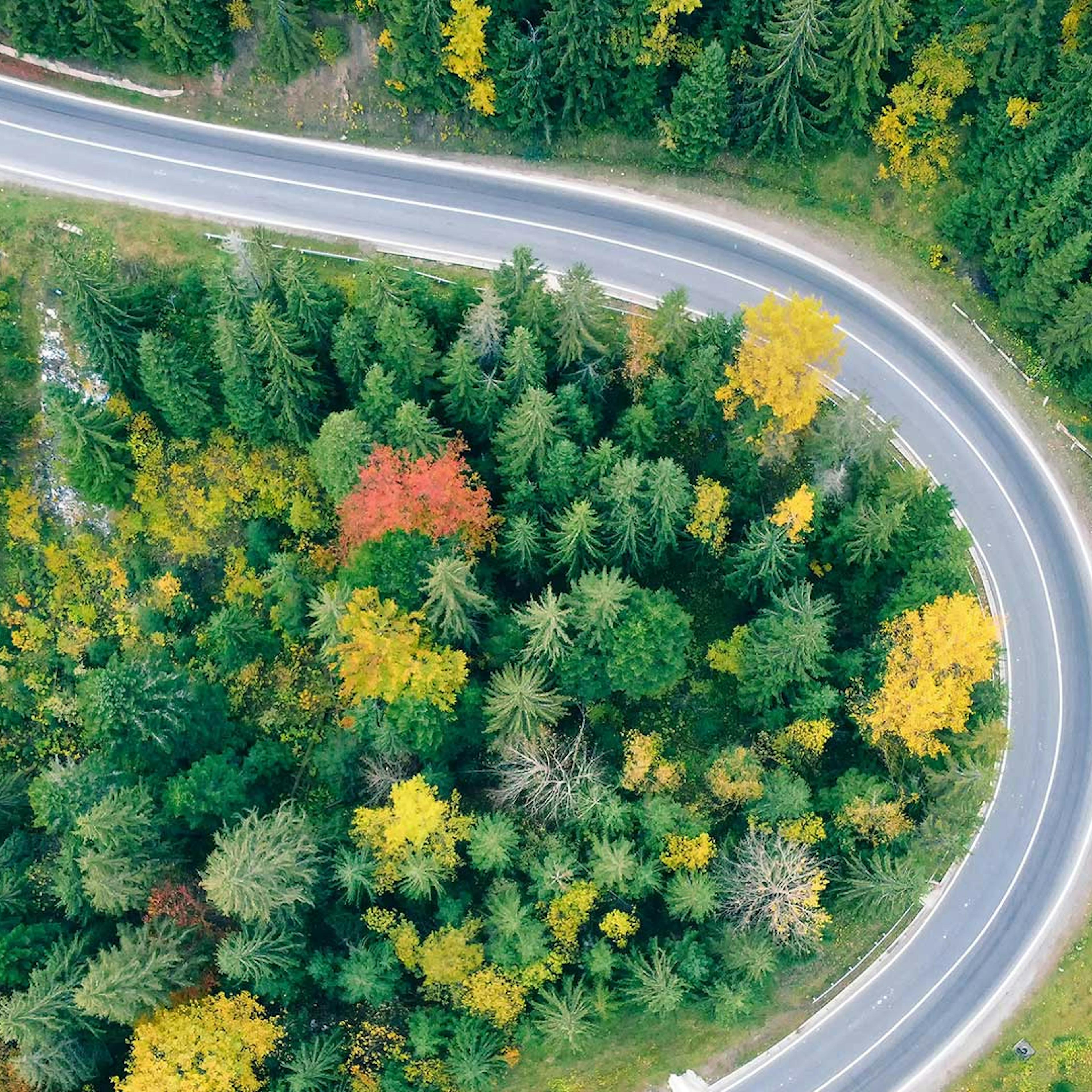 Aerial view of a winding country road that leads through a forest.