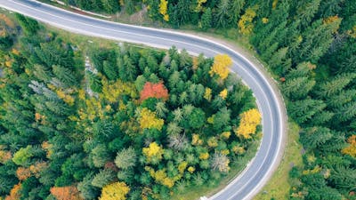 Luftaufnahme einer kurvigen Landstraße, die durch einen Wald führt.