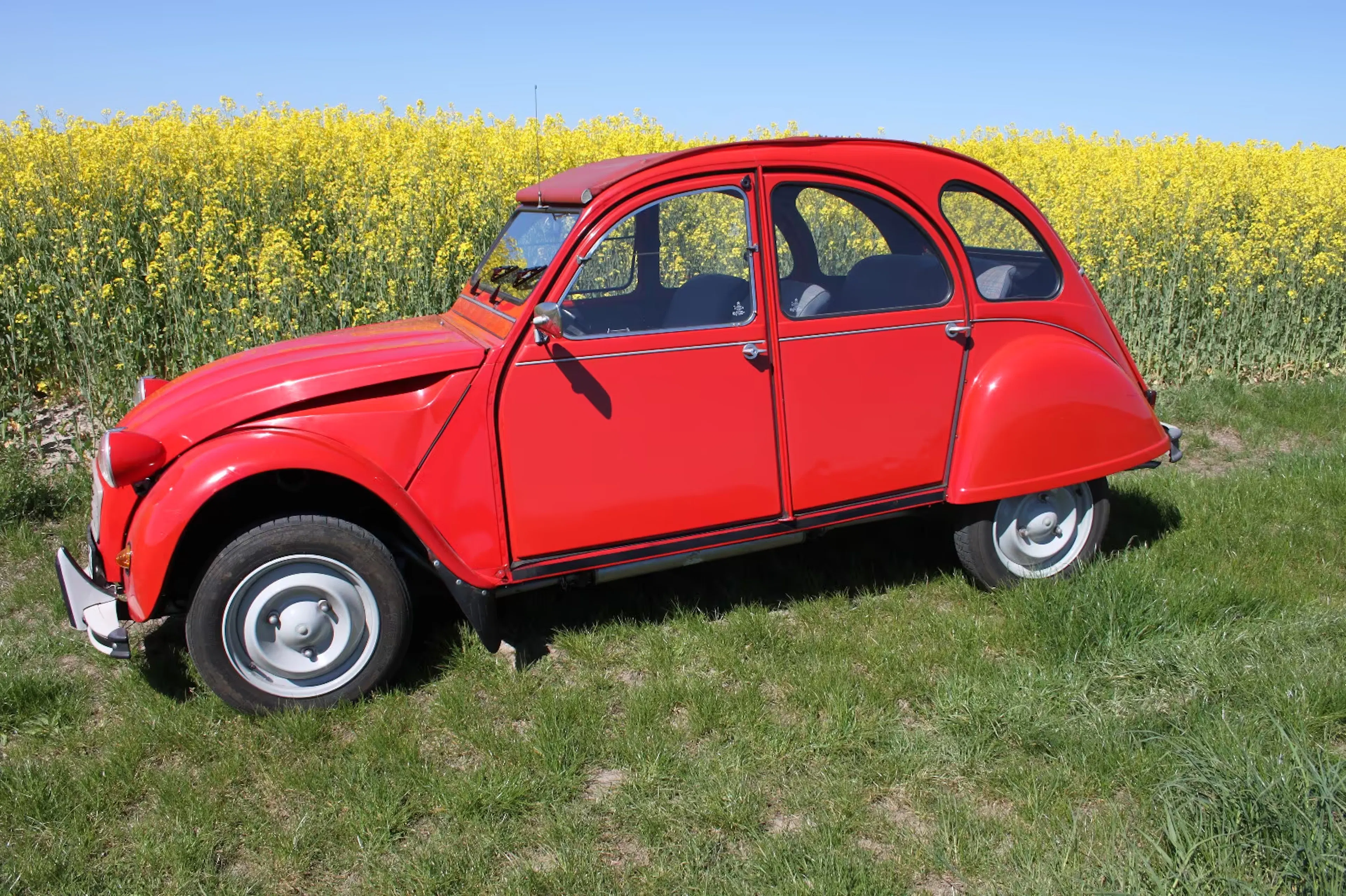 Roter Citroën 2CV vor Rapsfeld