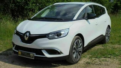 Ein weißer Renault Scenic parkt auf einer Wiese