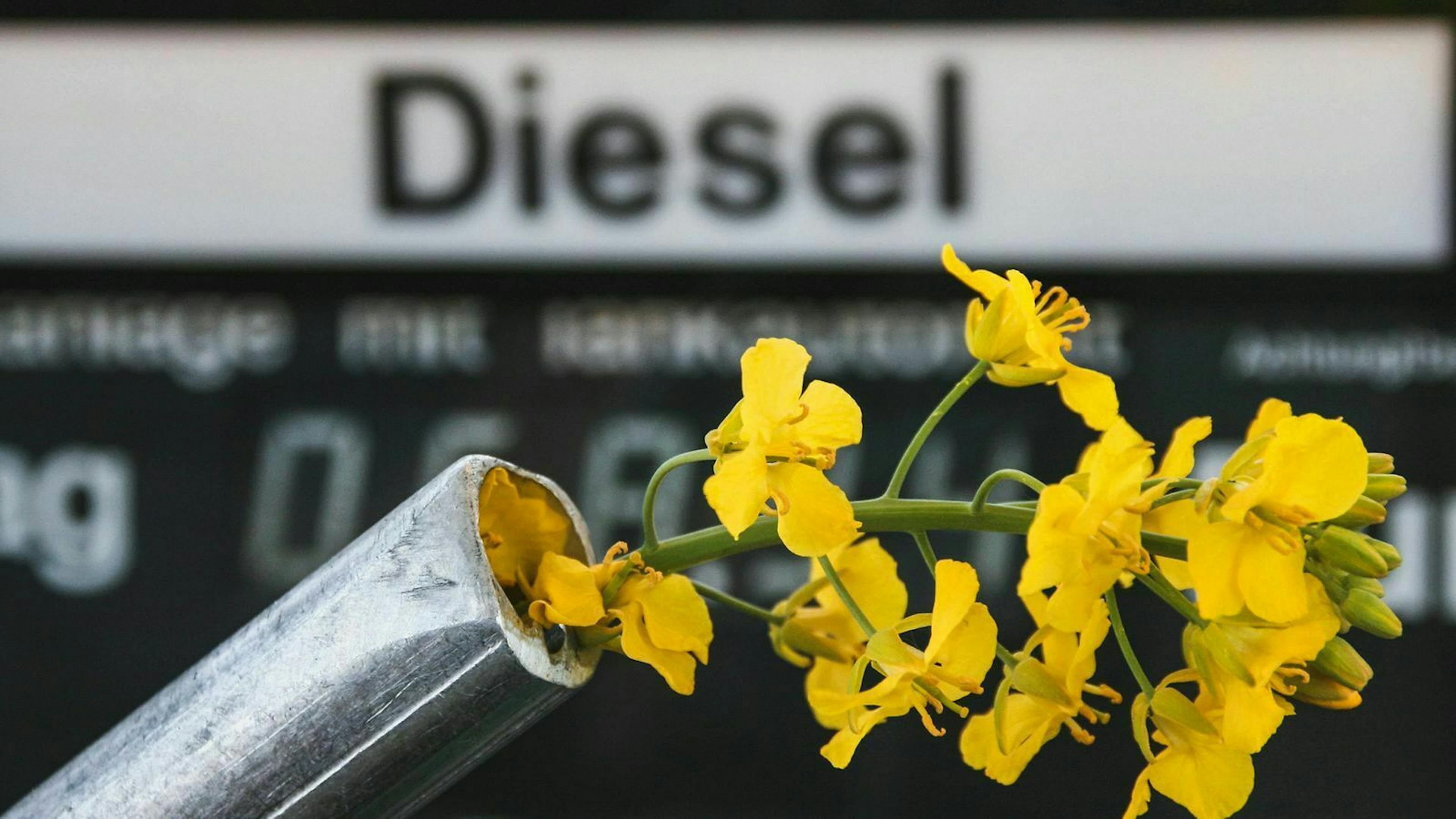 Ein großer Vorteil der Biokraftstoffe: Sie sollen CO2-neutral sein.