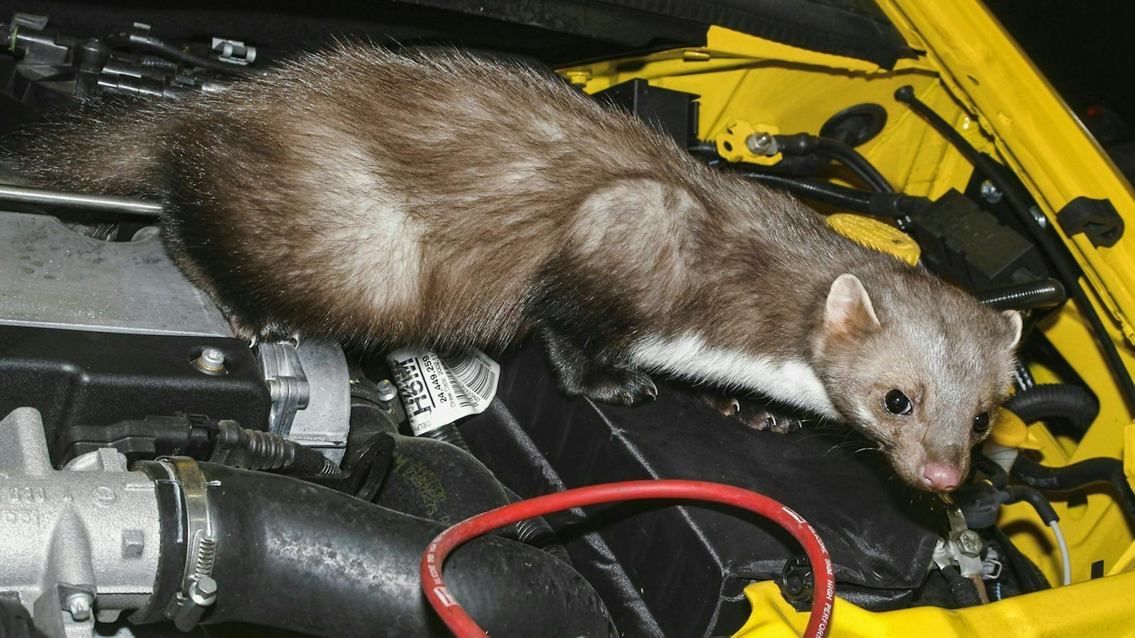Wird der Motor nicht ausreichend gekühlt, riskierst Du einen Motorschaden.