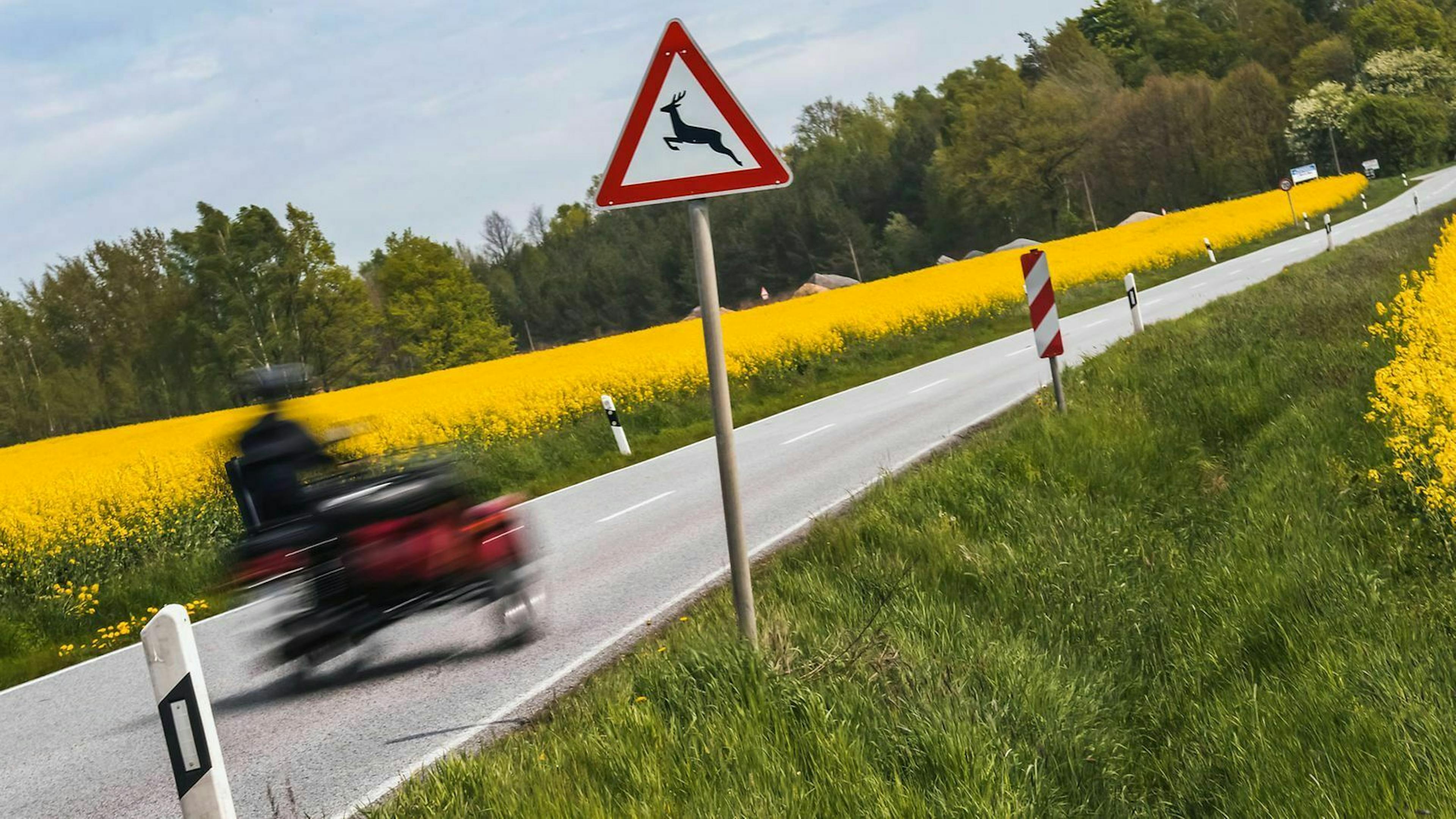 Schäden durch Wildunfälle zahlt meist Deine Teilkasko-Versicherung – aber nur bei sogenanntem Haarwild.
