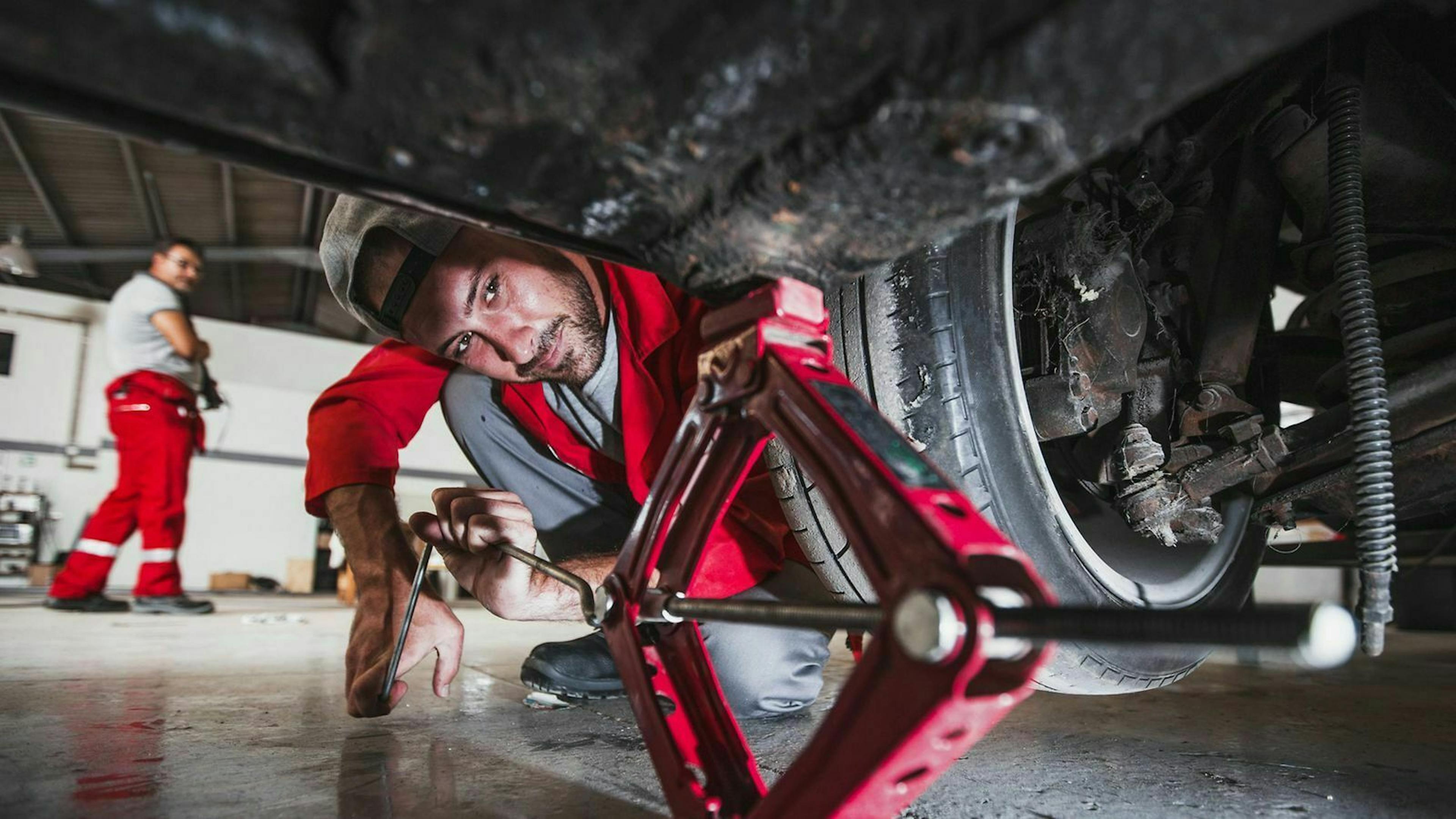 Marder sind häufig der Grund für durchtrennte Leitungen am Auto. Das kann den Verlust von Kühlwasser nach sich ziehen.