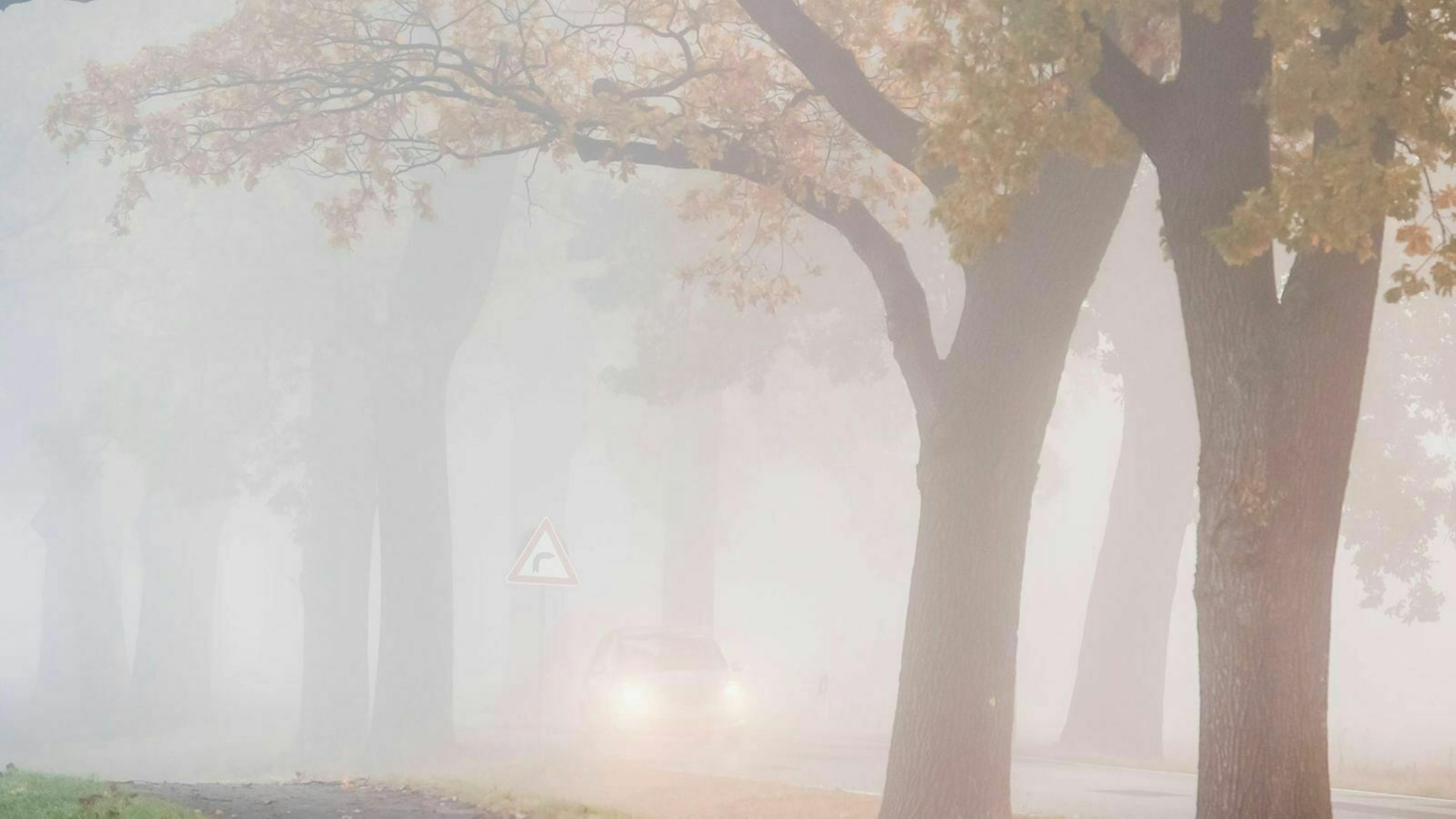 Ein Auto fährt über eine neblige Landstraße.