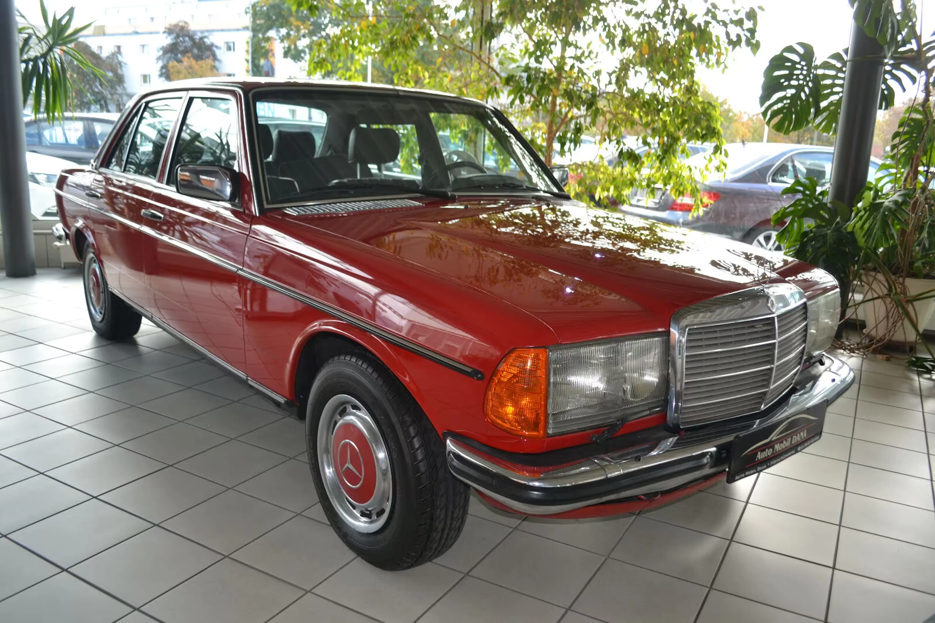 Ein roter Mercedes-Benz W123 steht in einem Autohaus.