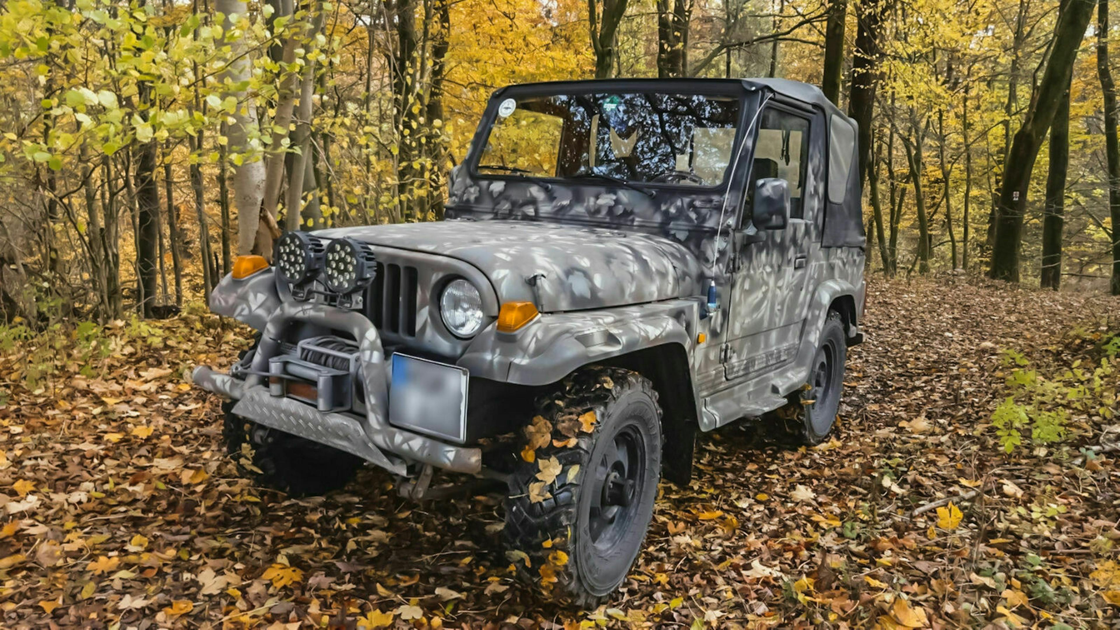 Asia Rocsta Dreiviertel-Frontansicht