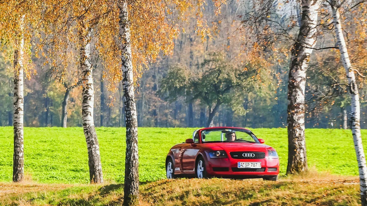 Ein roter Audi TT roadster fährt über eine lichtdurchflutete Allee.
