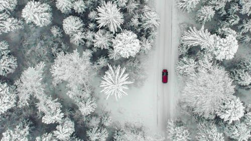 8 Tipps um euer Auto winterfest zu machen