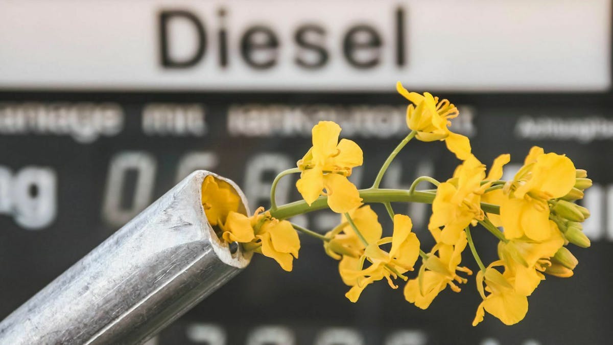 Bioschlamm im Diesel führt dazu, dass Filter und Treibstoffleitungen verstopft werden.