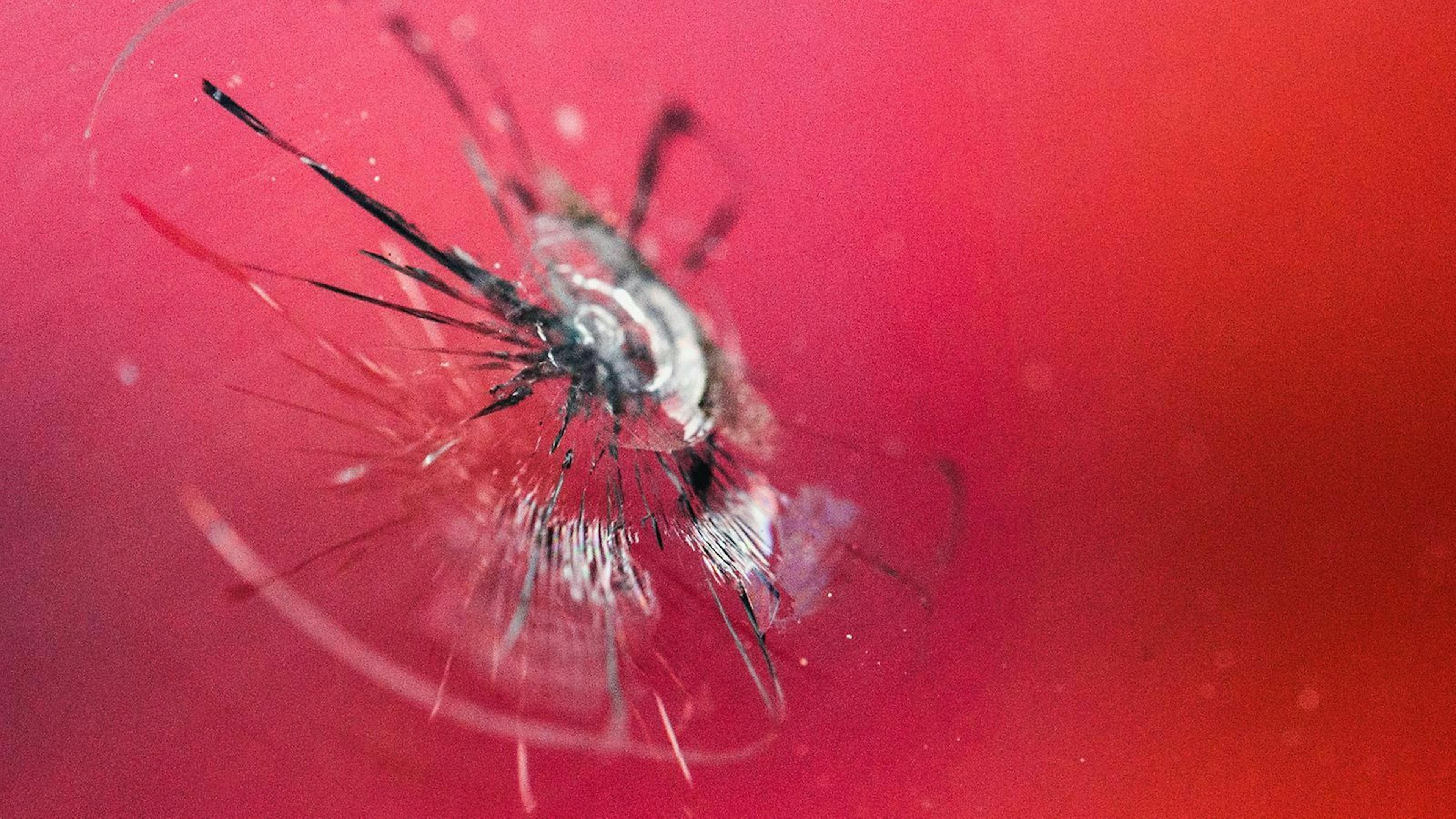 Ist der Schaden größer, muss die Windschutzscheibe ausgetauscht werden. In der Werkstatt dauert das etwas vier Stunden.