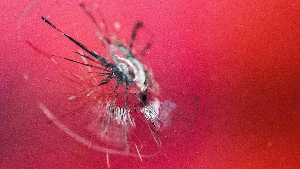 Ist der Schaden größer, muss die Windschutzscheibe ausgetauscht werden. In der Werkstatt dauert das etwas vier Stunden.