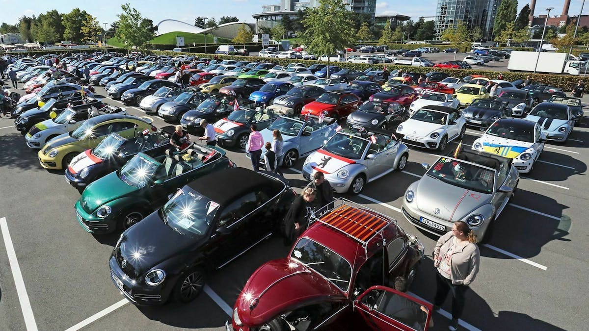VW Beetle versammlung