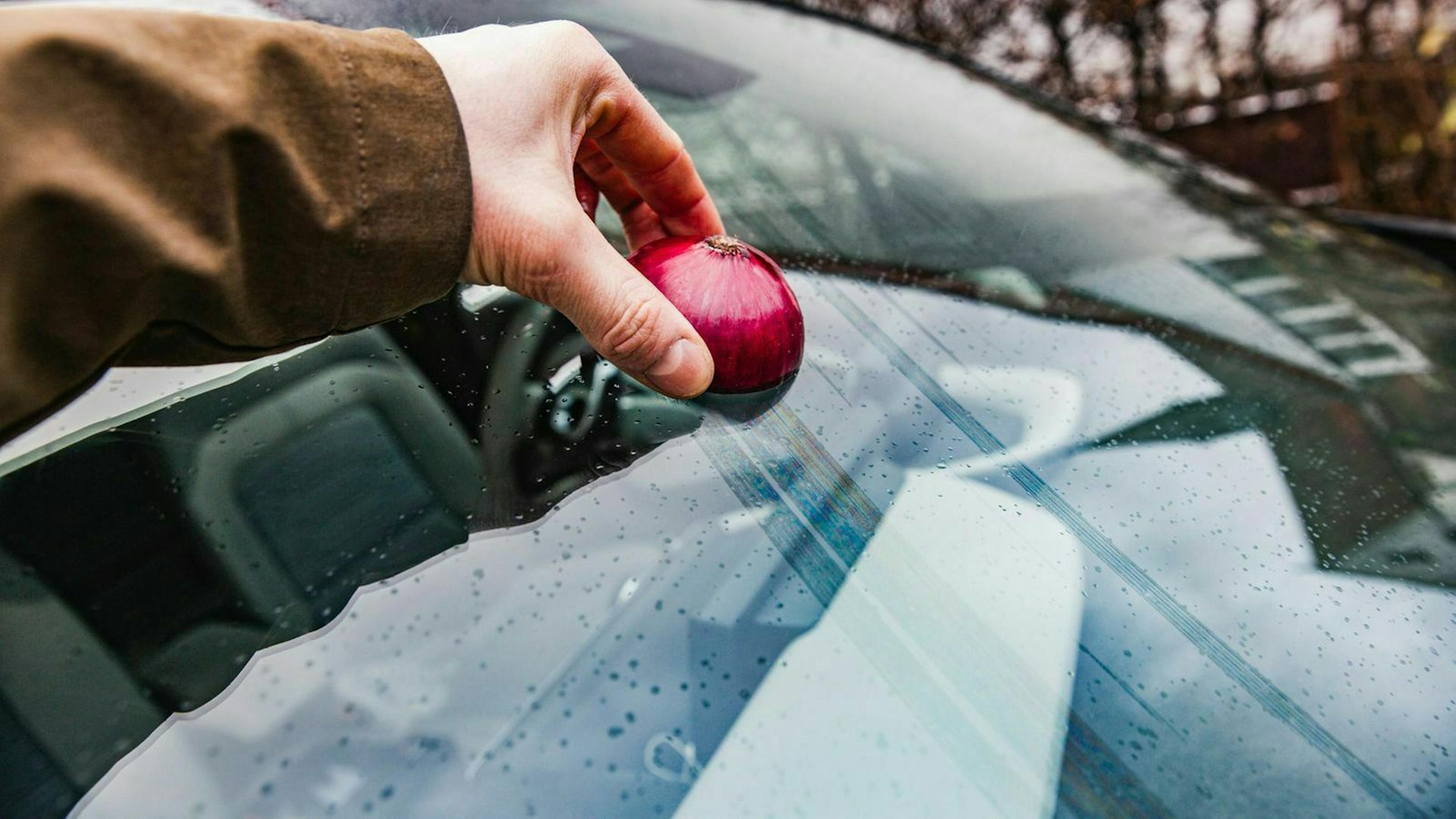 Zwiebel auf Frontscheibe eines Autos