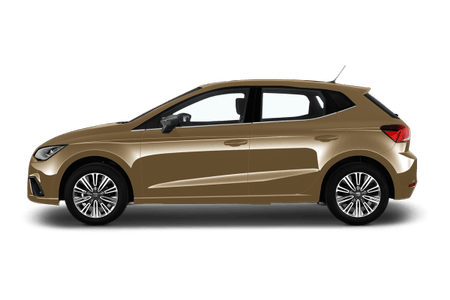 Foto eines Seat Ibiza