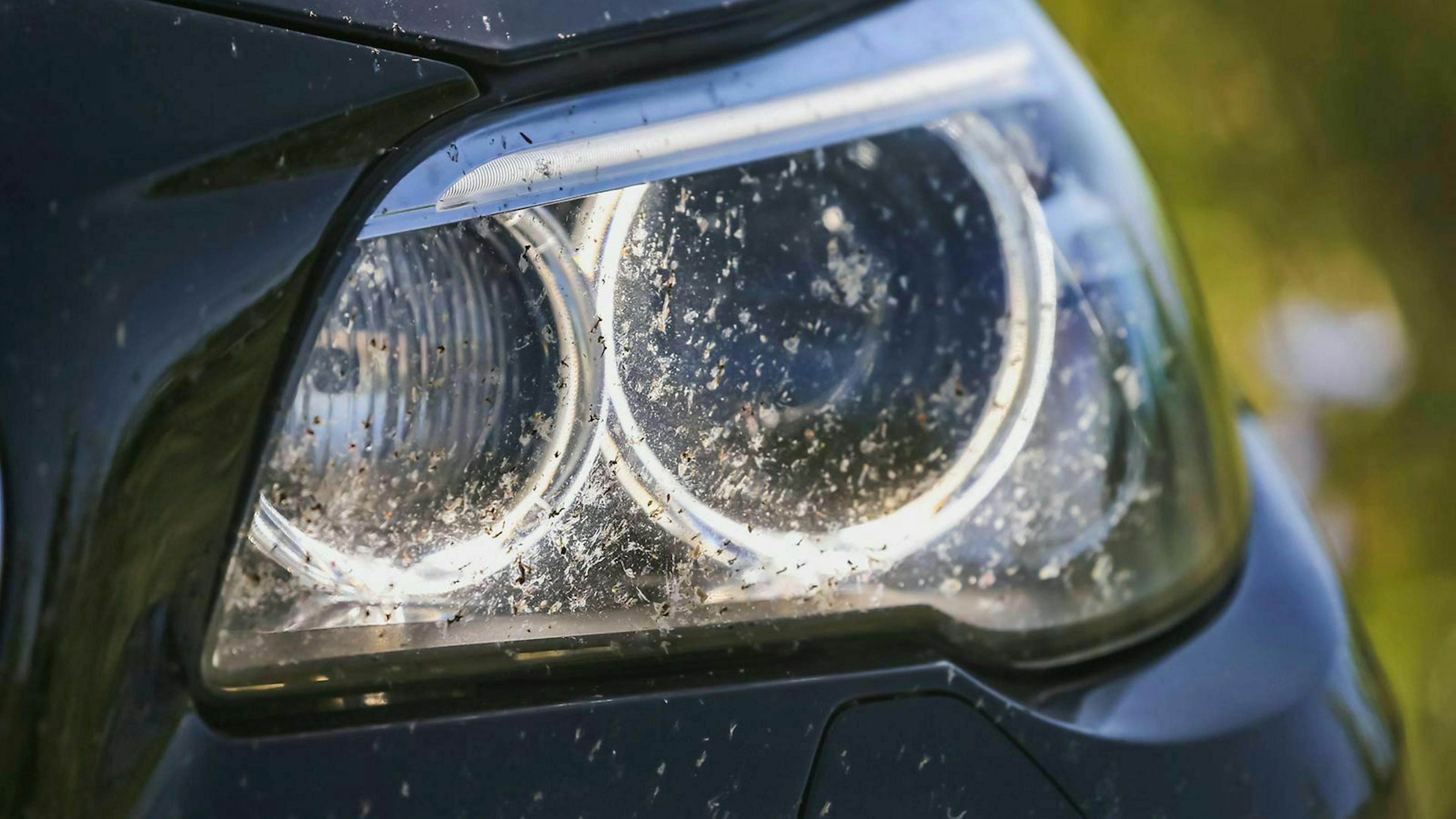 Wind und Wetter, aber auch Staub, Schmutz und Insekten setzen Scheinwerfern zu. Dann nimmt die Leuchtkraft entsprechend ab.