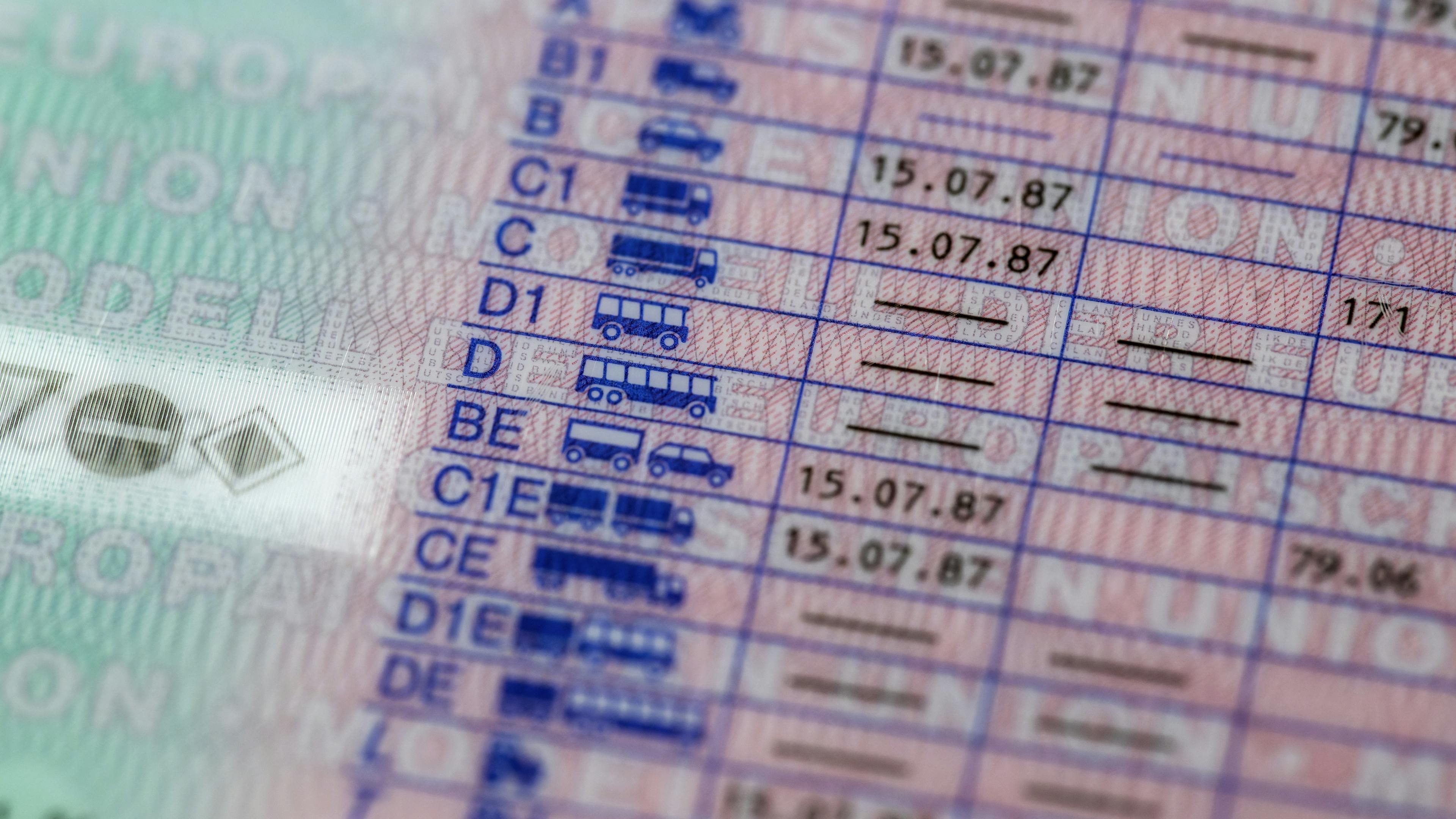 An EU driver's license in detail shows the registered driving license classes such as C, C1, and CE with corresponding validity dates and key numbers.