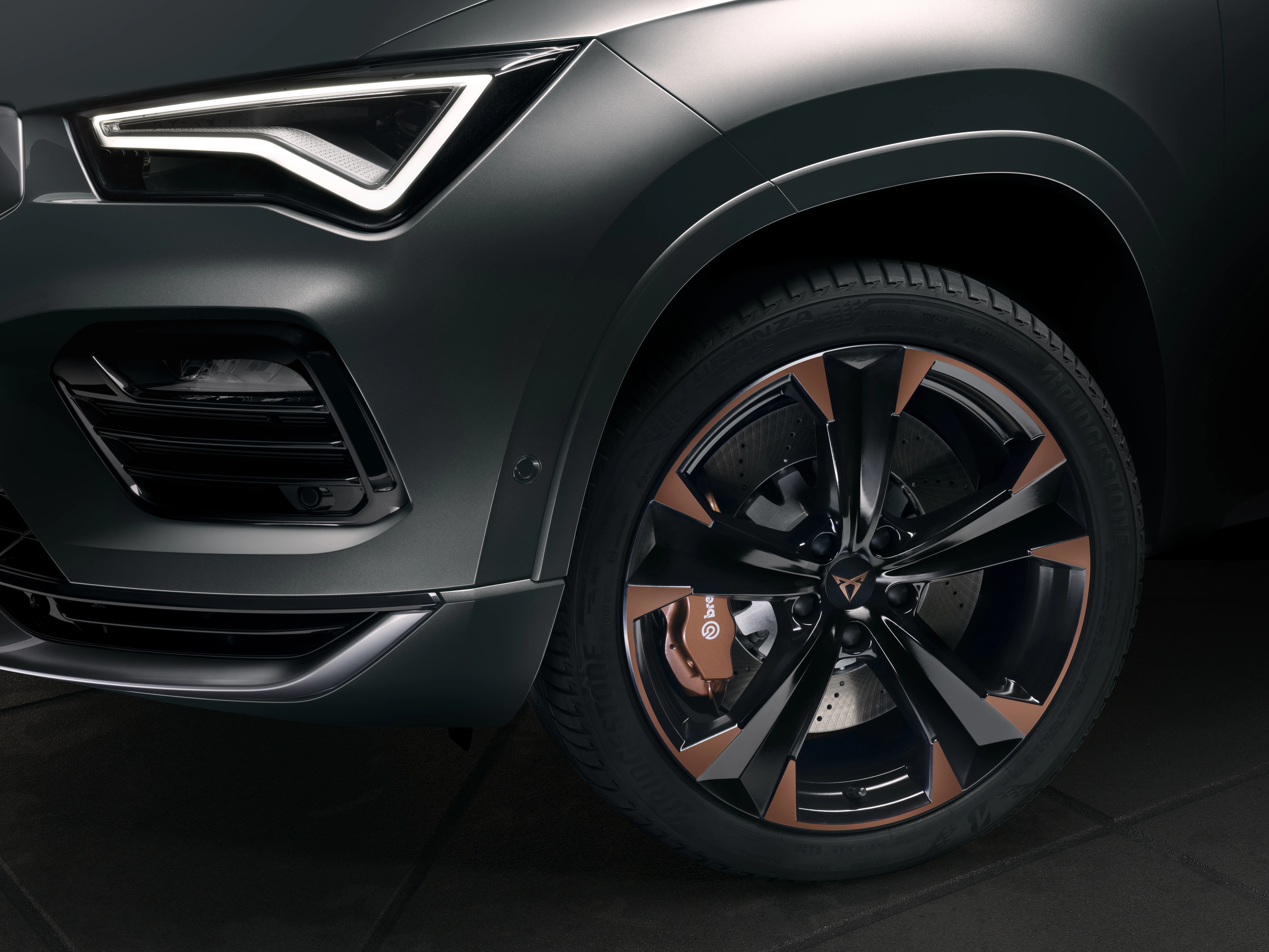 Cupra Ateca Detail Felge
