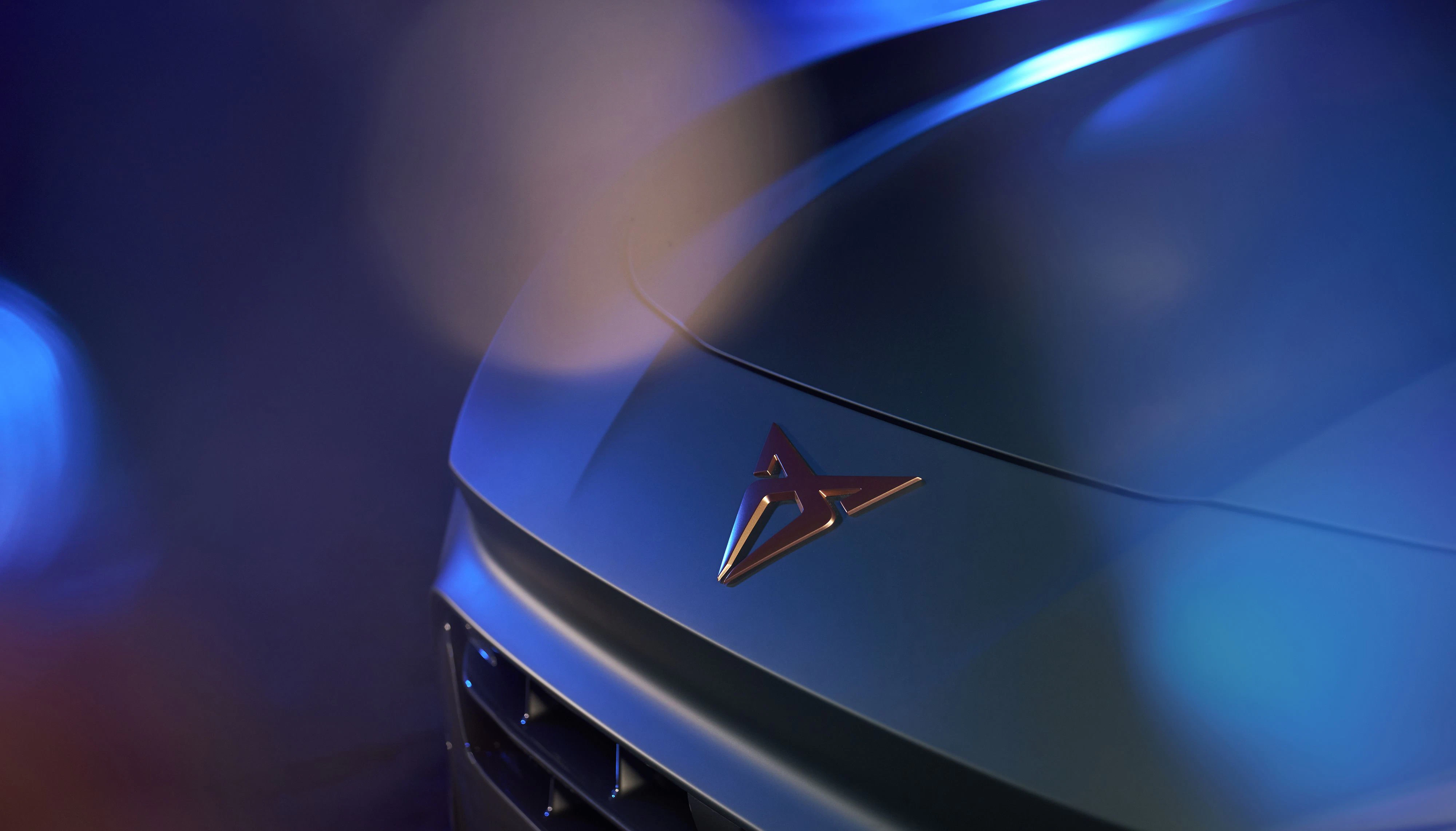 Cupra Terramar Detail Logo