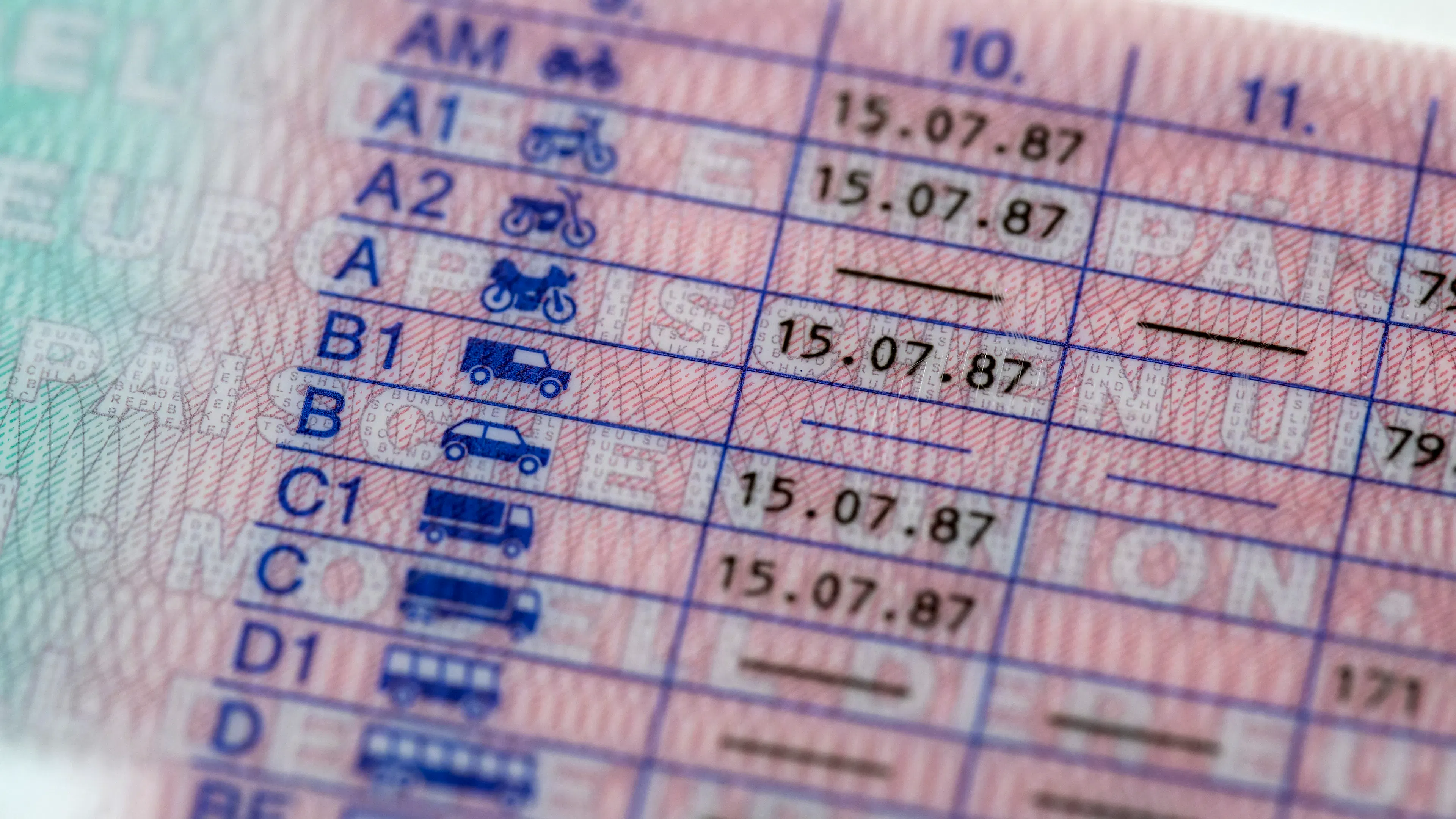 Großaufnahme der Rückseite eines Führerscheins.
