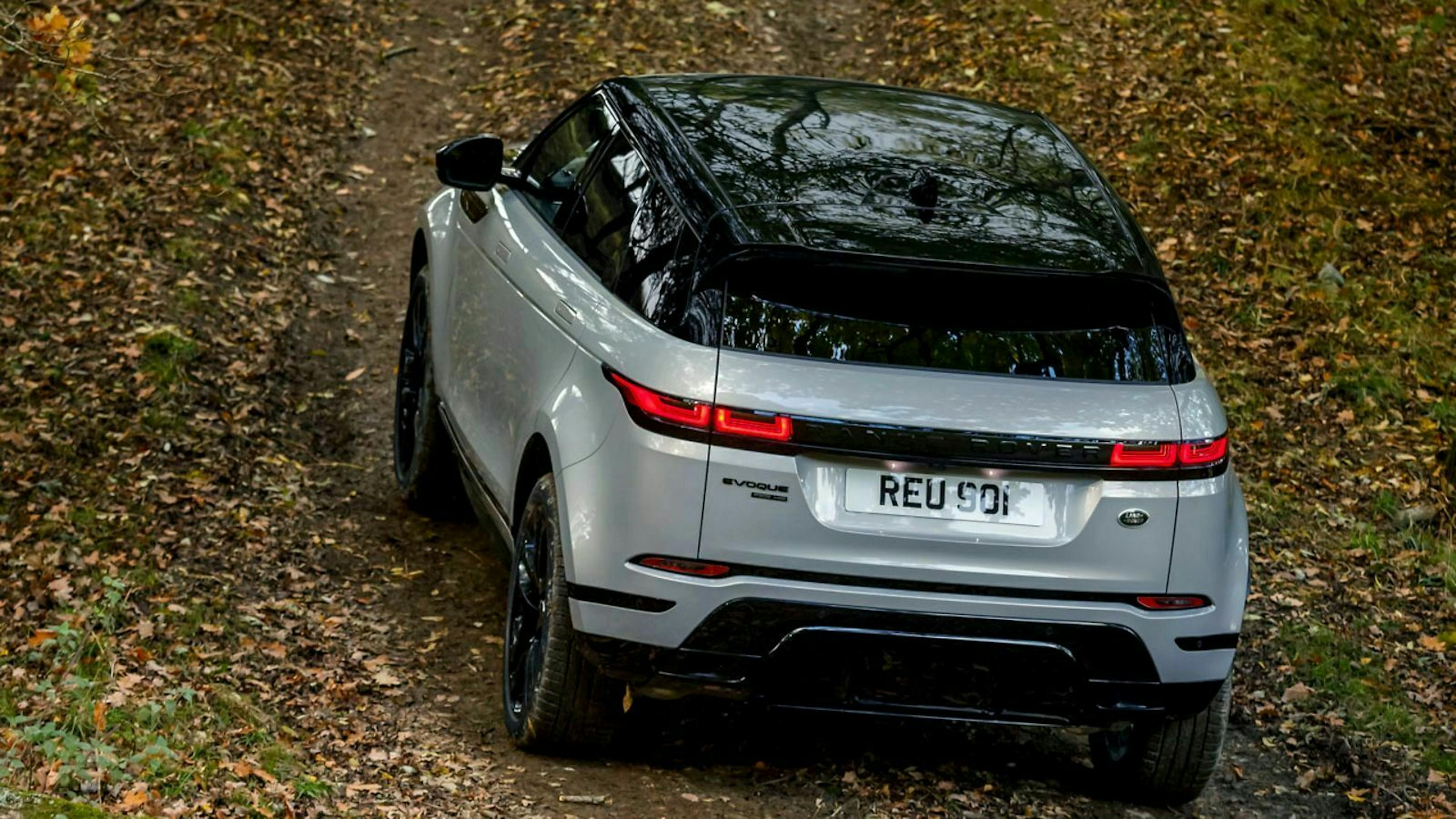 Optisch trennt Generation zwei des Range Rover Evoque wenig vom  Vorgänger