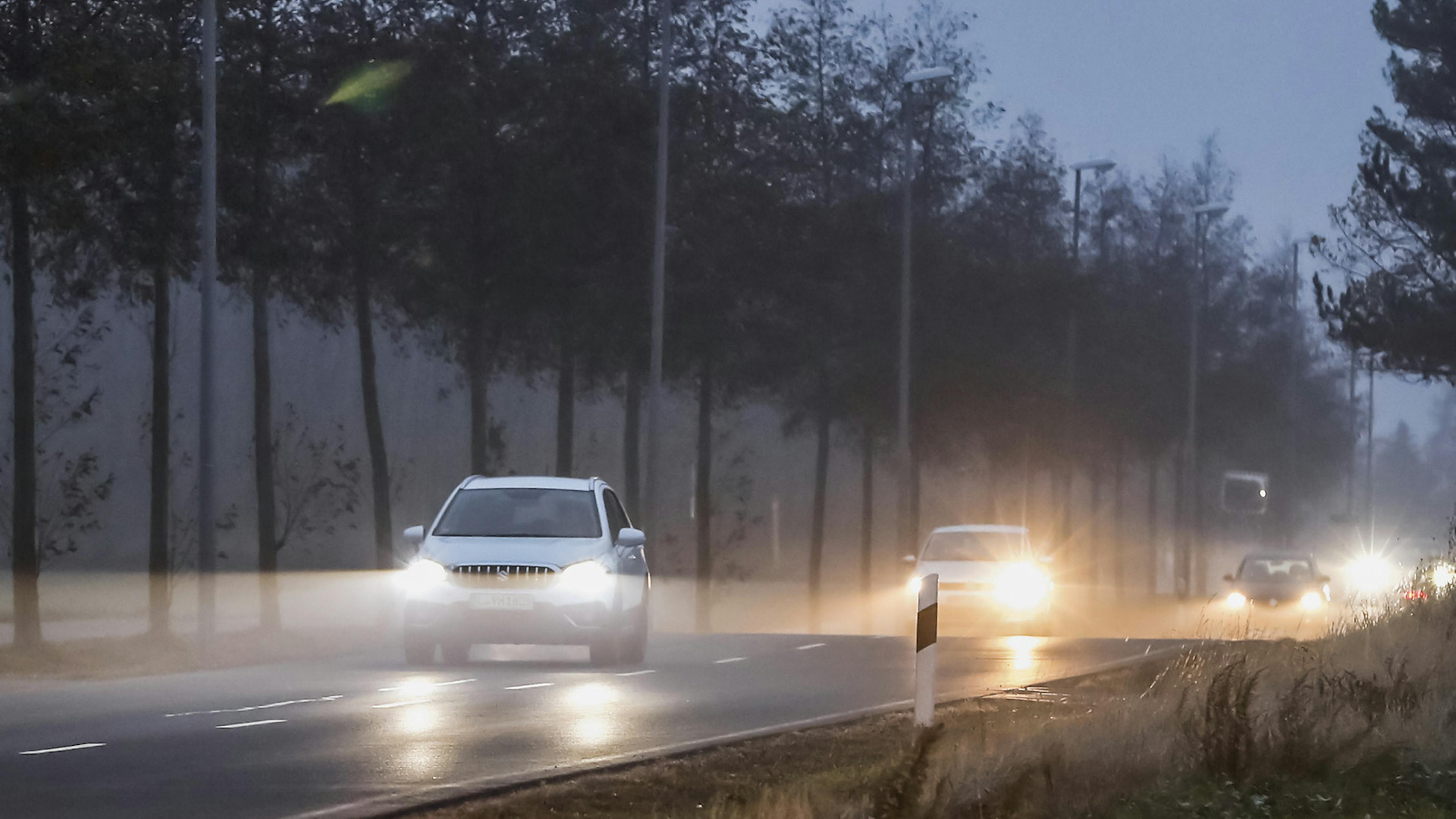 Autos fahren über eine neblige Landstraße.