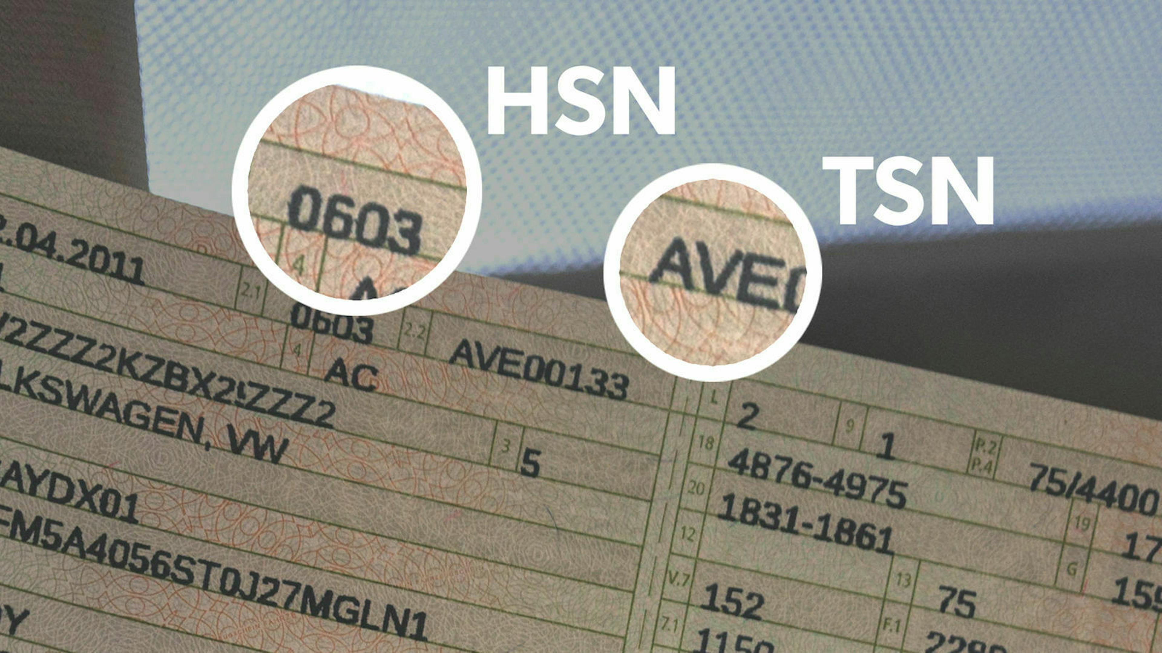 HSN und TSN Nummern  im Fahrzeugschein
