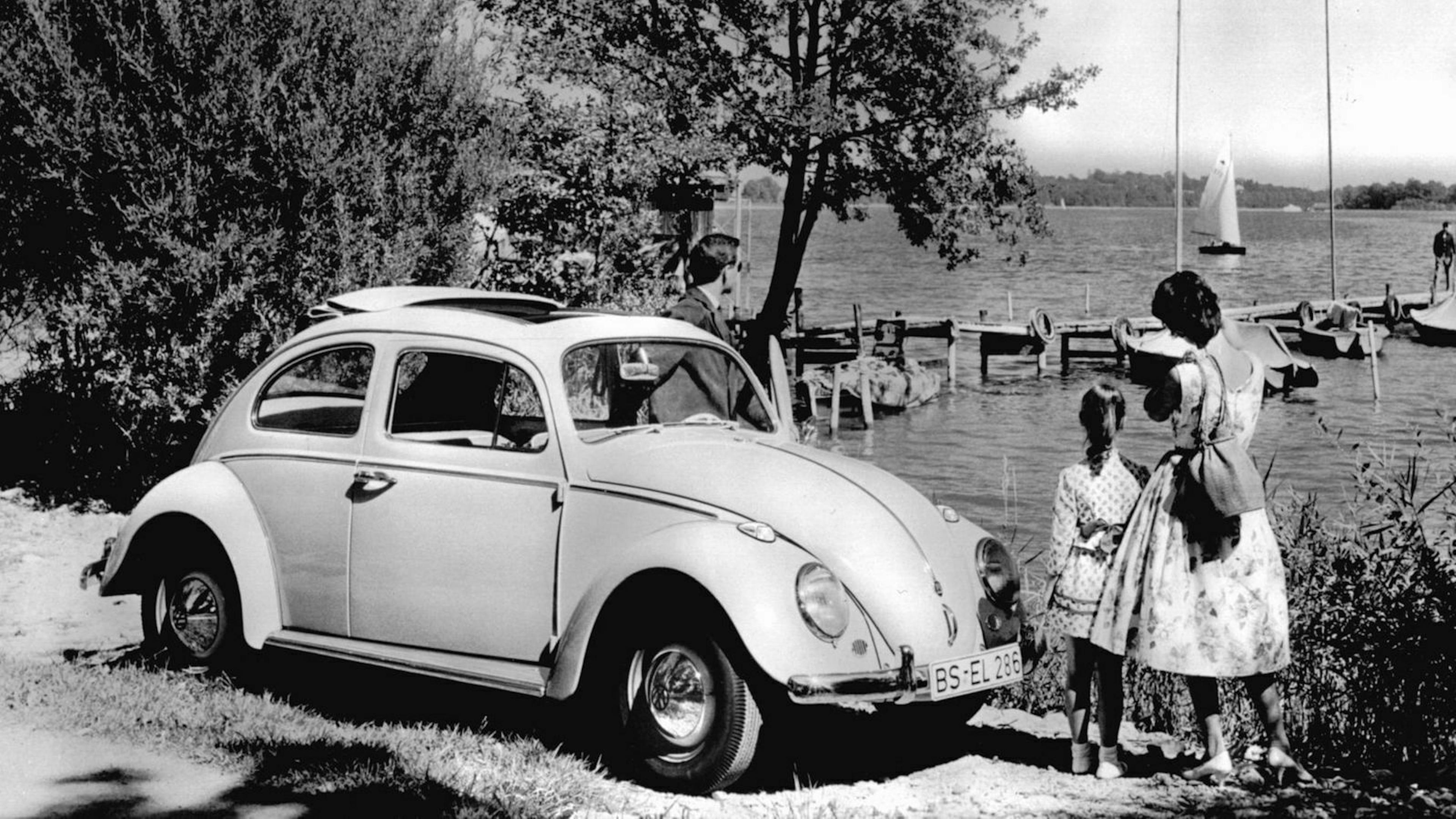 Der VW Käfer in Frontansicht