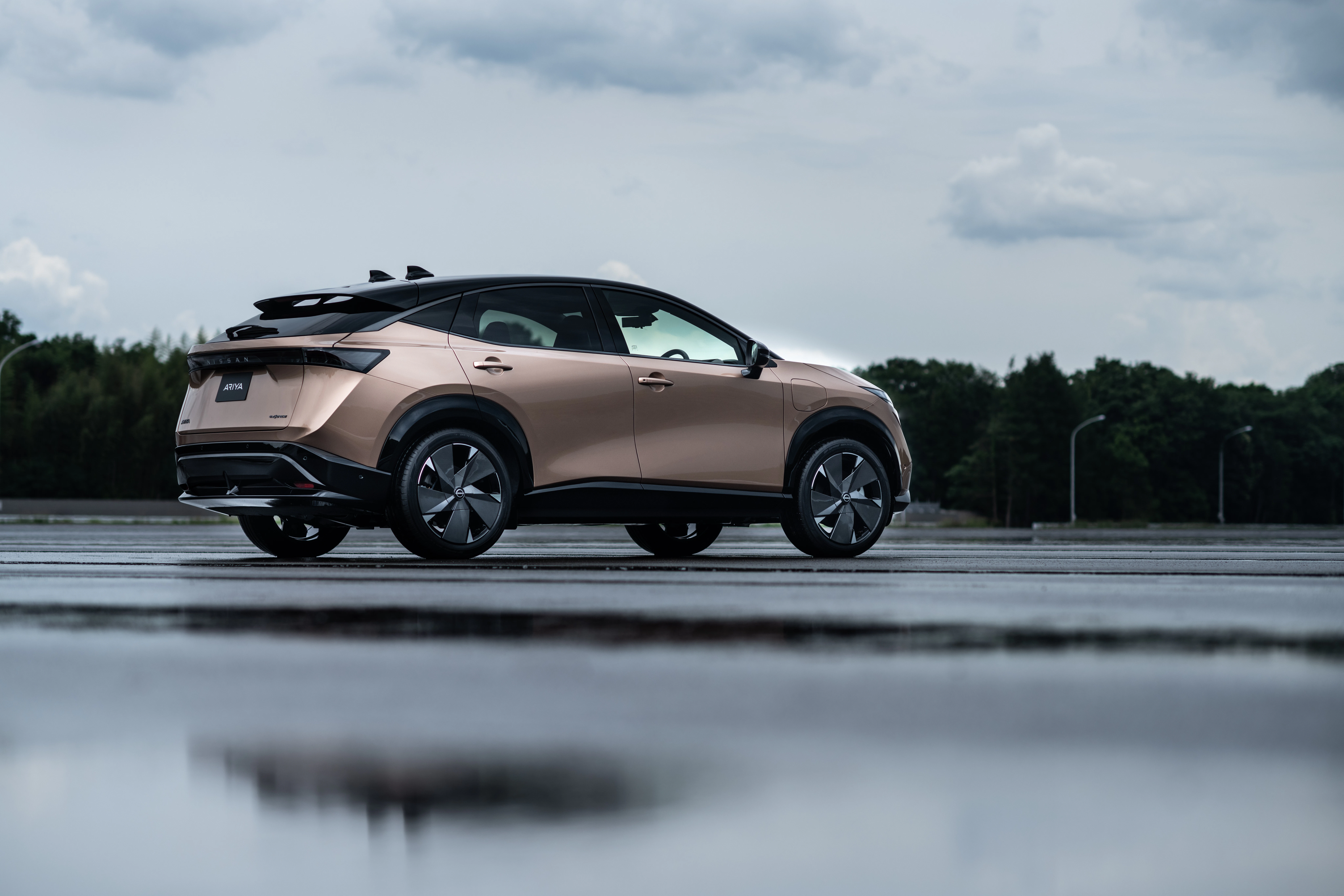 Nissan Ariya statisch Heck