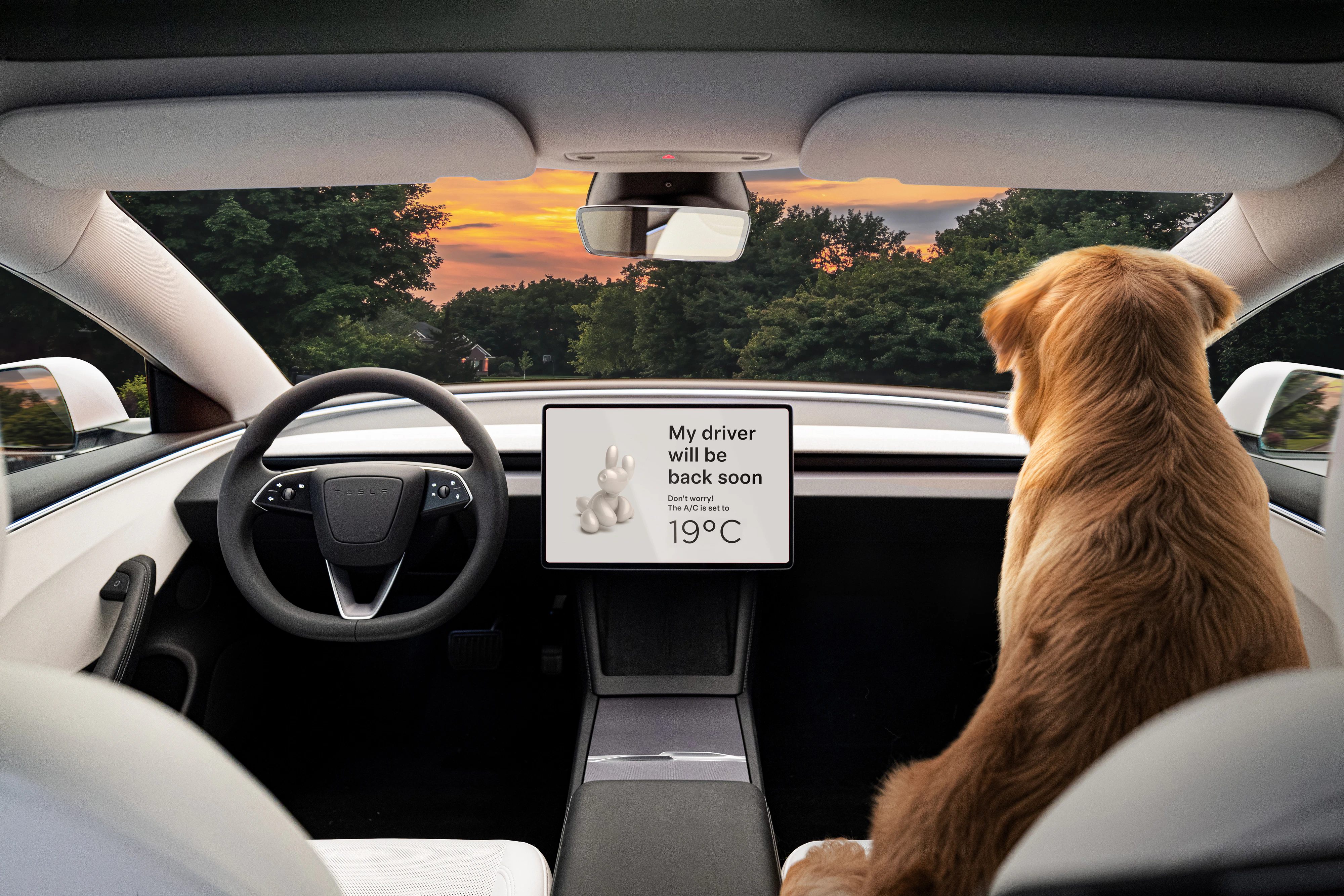 Tesla Model 3 Hundemodus Detail