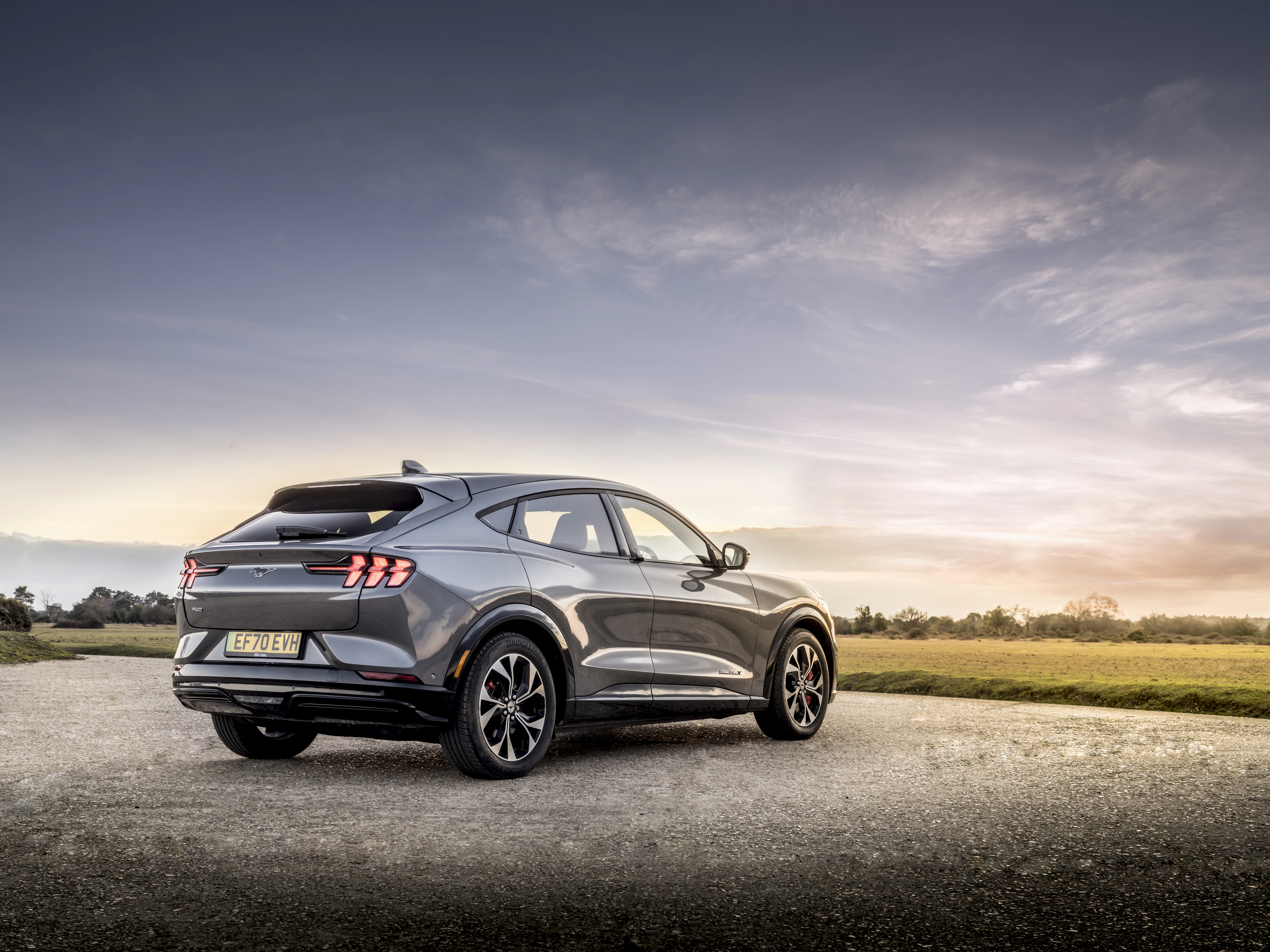 Ford Mustang Mach-E statisch Heck