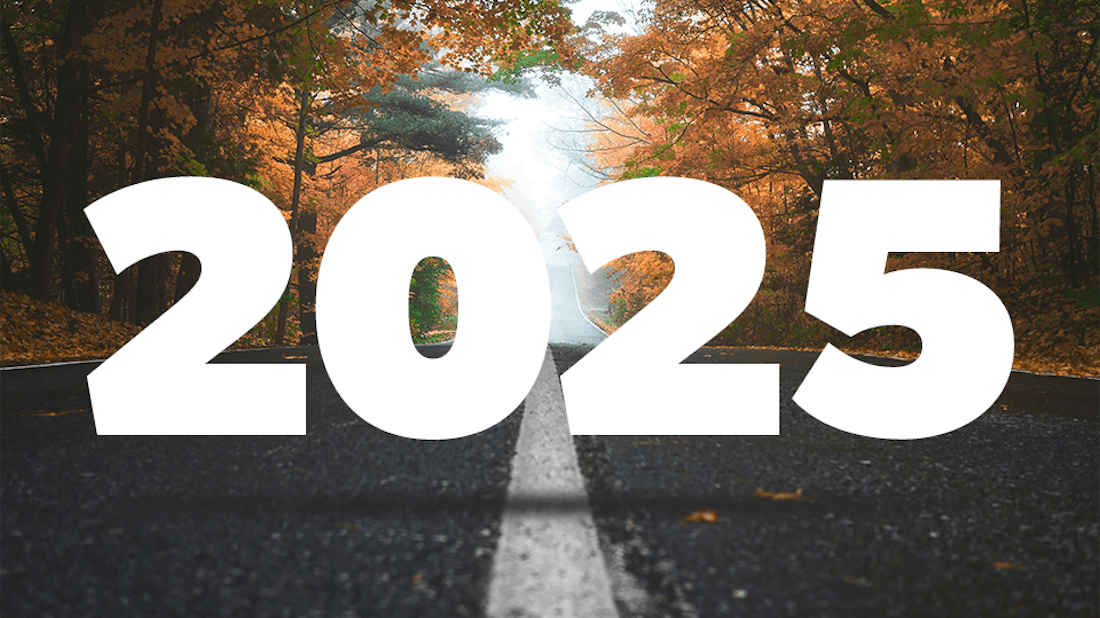 Die Jahreszahl 2025 hebt sich von der Straße ab. An den Rändern stehen Bäume. Das Ambiente ist herbstlich.