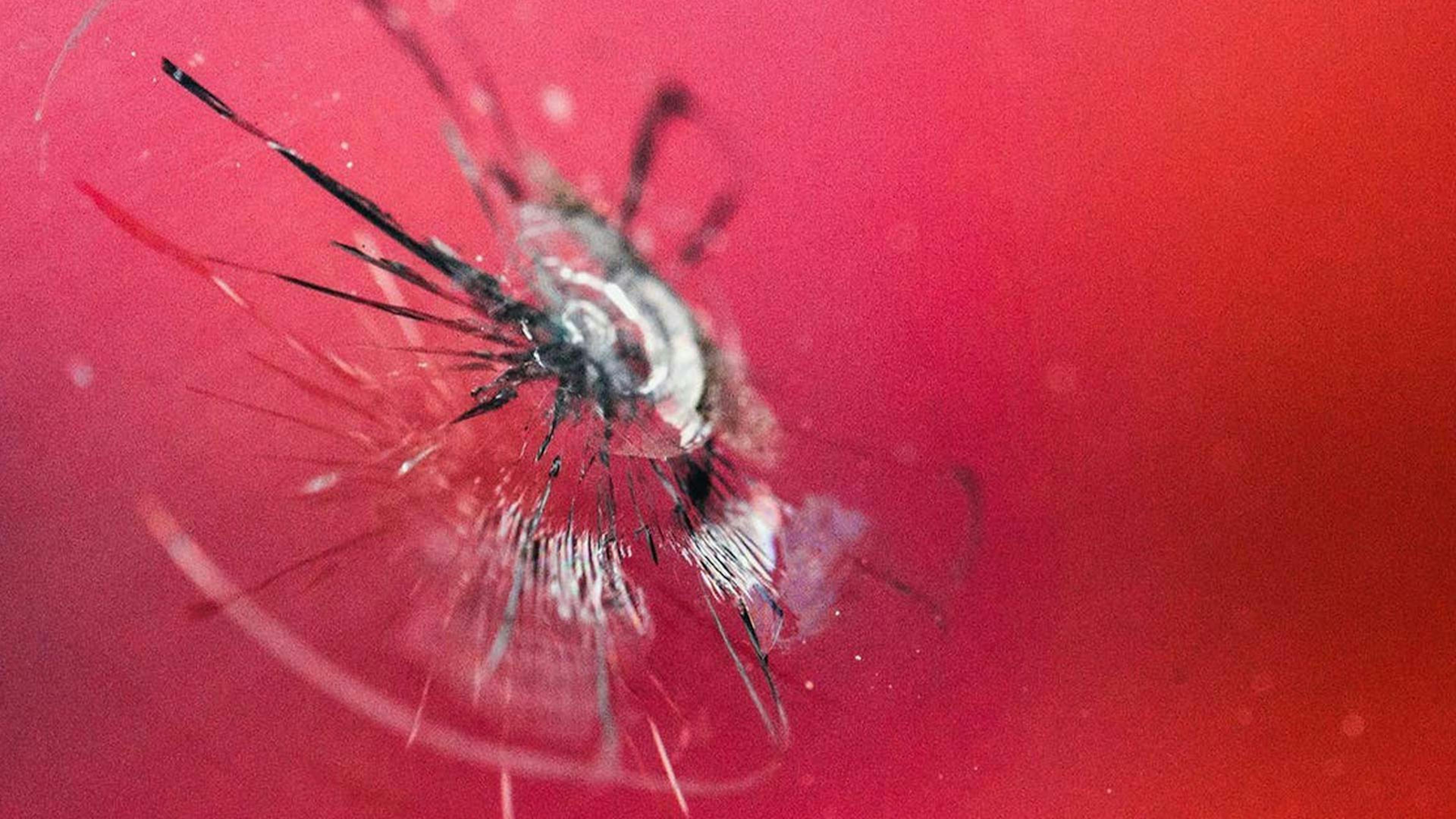 Nahaufnahme einer Autoscheibe, die durch einen Steinschlag beschädigt wurde