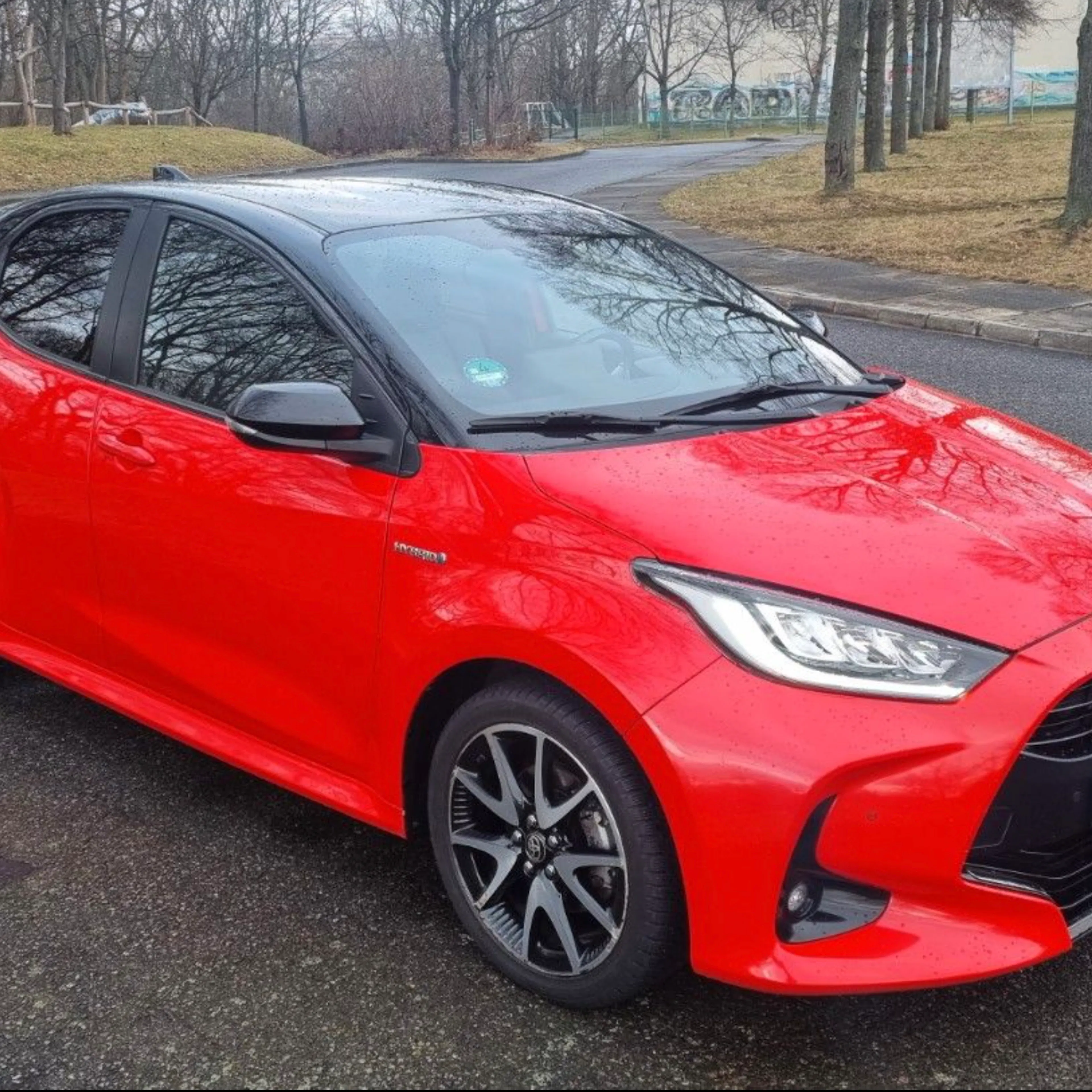 Roter Toyota Yaris auf einer Asphaltfläche stehend, mit winterlicher Vegetation im Hintergrund.
