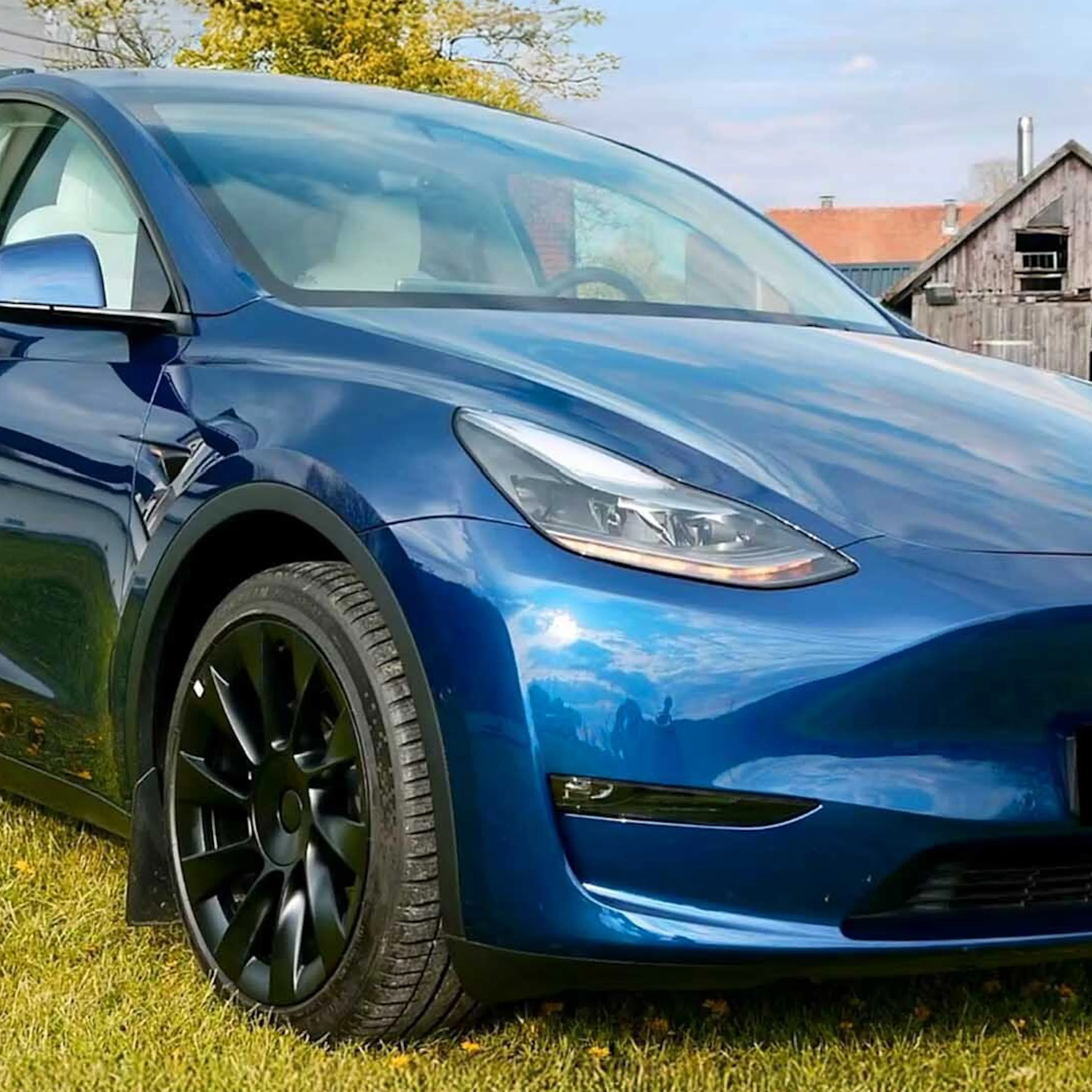 Dunkelblaues Tesla Model Y steht auf einer gepflasterten Fläche vor grüner Vegetation