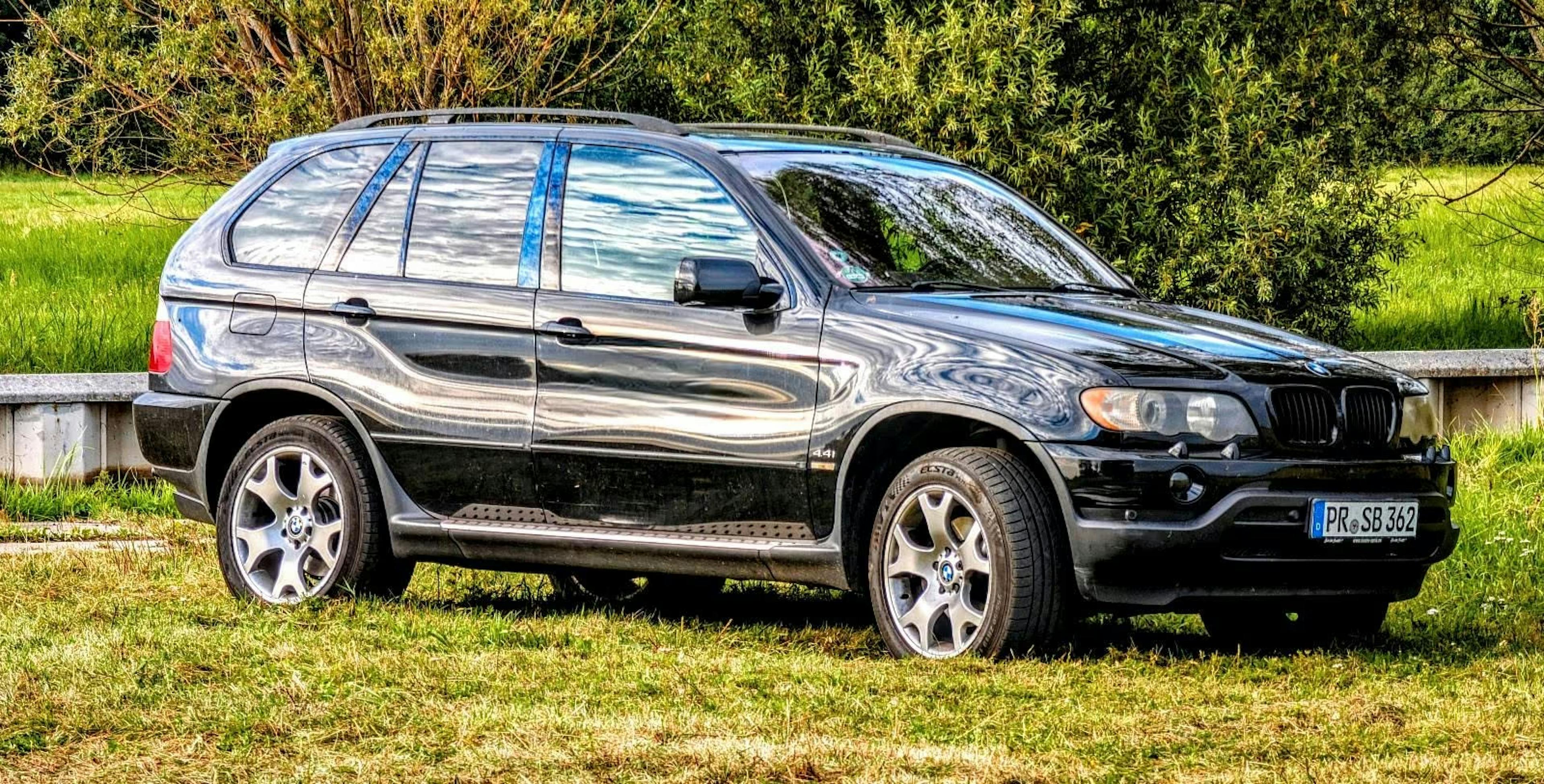 Ein schwarzer BMW X4 steht auf einer Wiese.