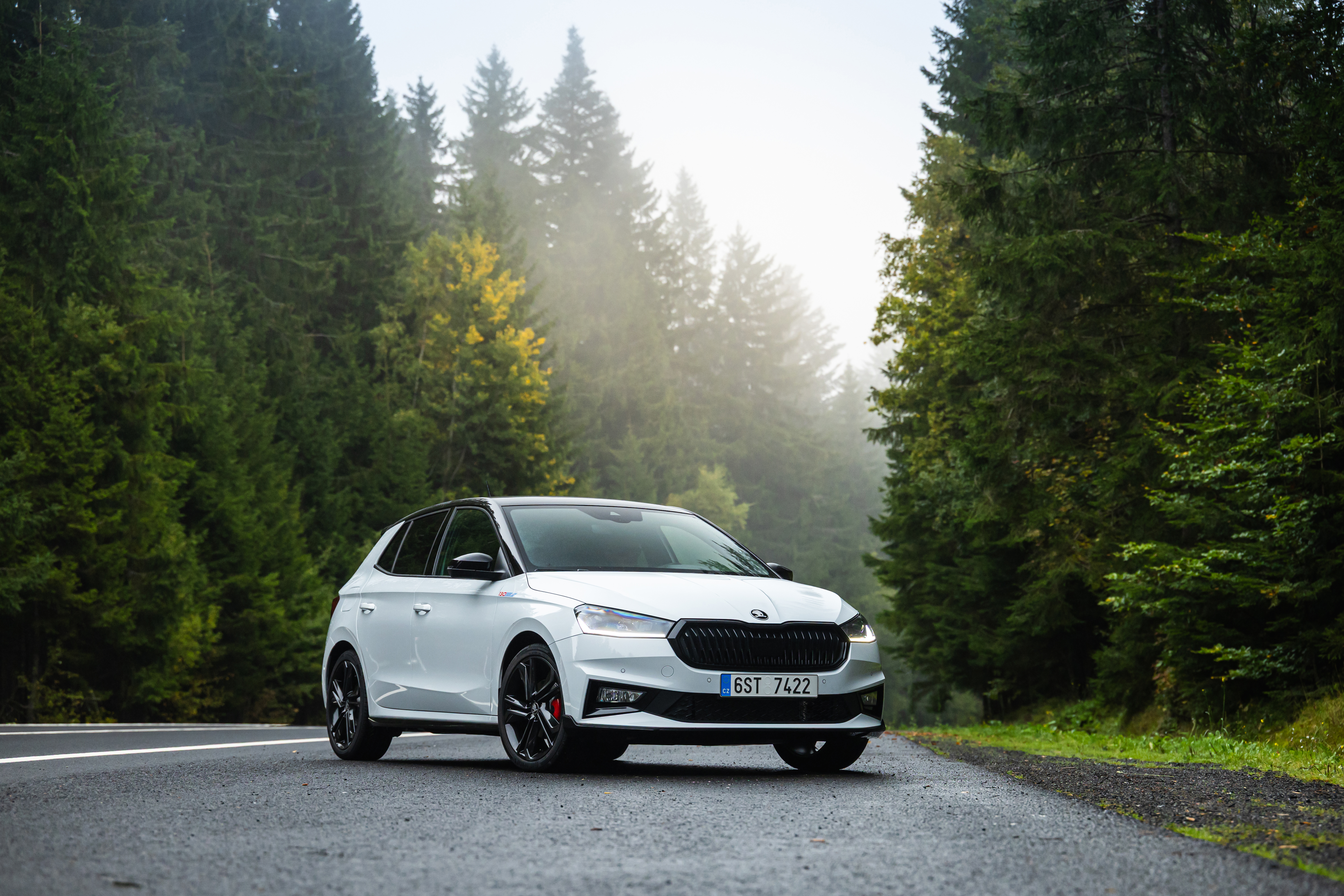 Ein weißer Skoda Fabia steht auf einer Straße, die von hohen Bäumen eingerahmt ist