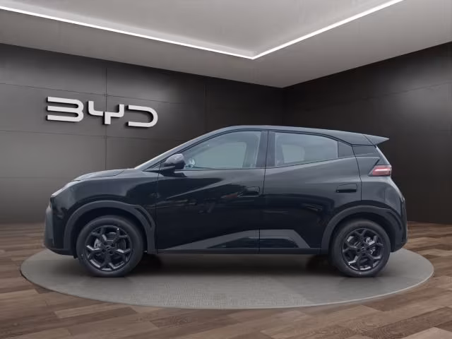 Ein schwarzer BYD Dolphin Surf auf einer Präsentationsfläche