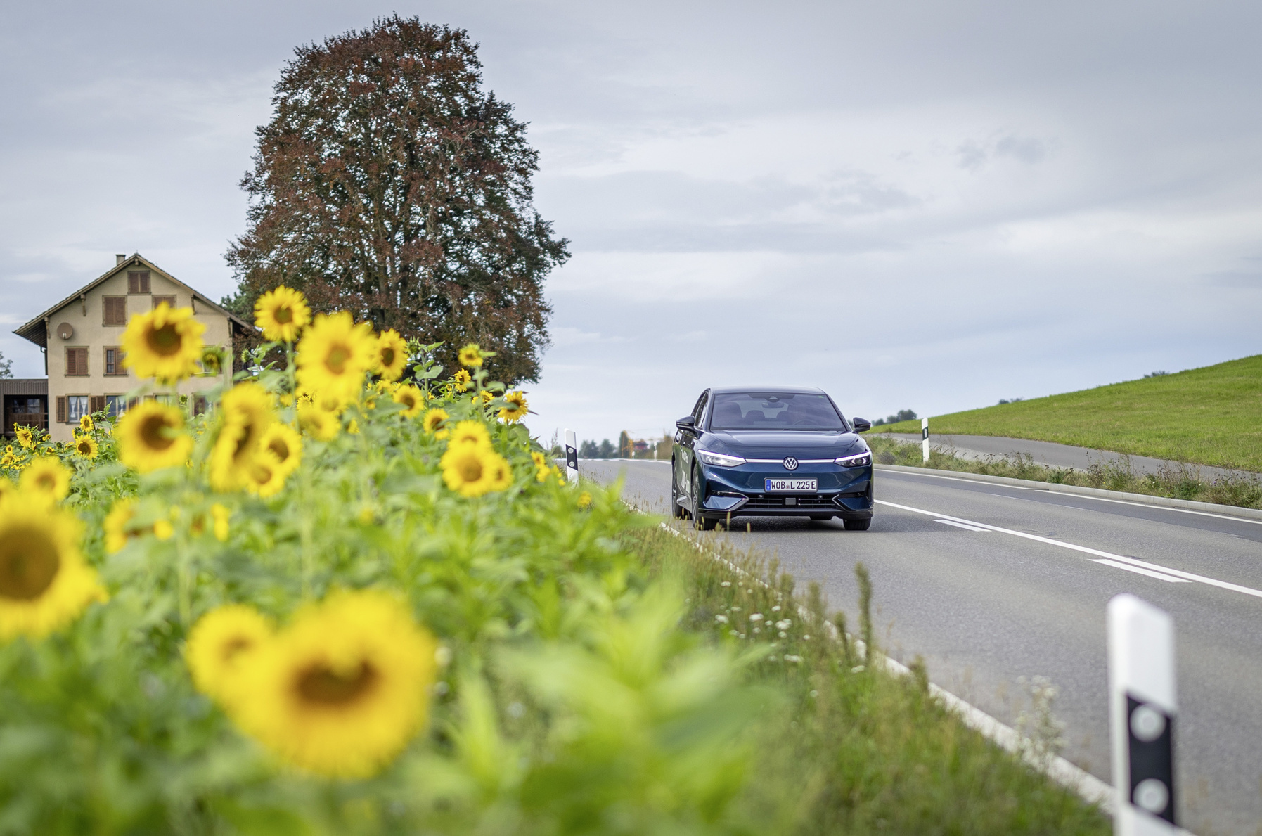Ein dunkel lackierter VW ID.7 Pro S fährt eine Landstraße entlang, neben der Sonnenblumen wachsen.