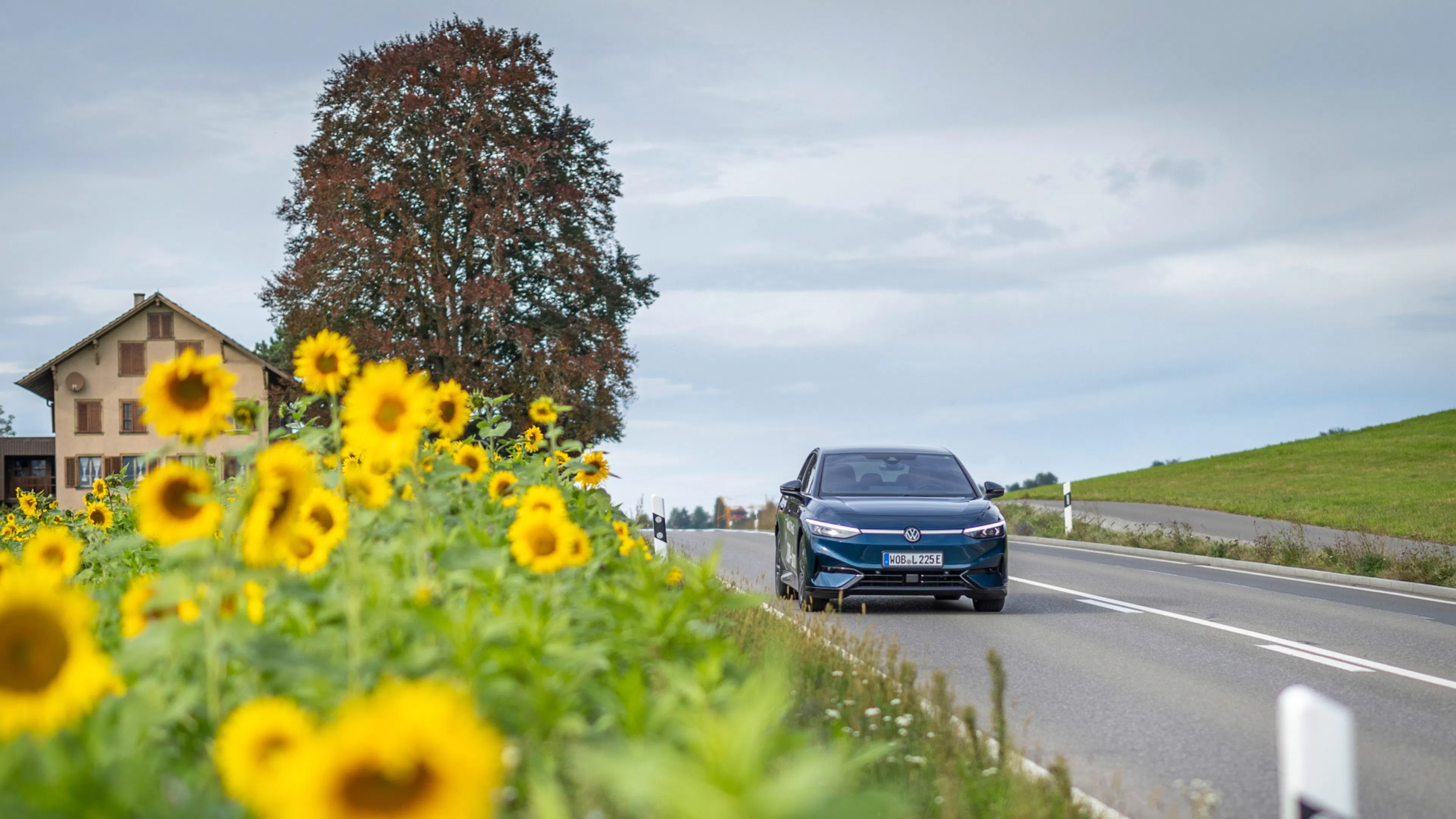 Ein dunkel lackierter VW ID.7 Pro S fährt eine Landstraße entlang, neben der Sonnenblumen wachsen.