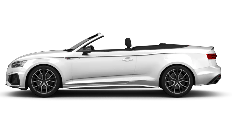 Foto eines Audi S5 (B10)